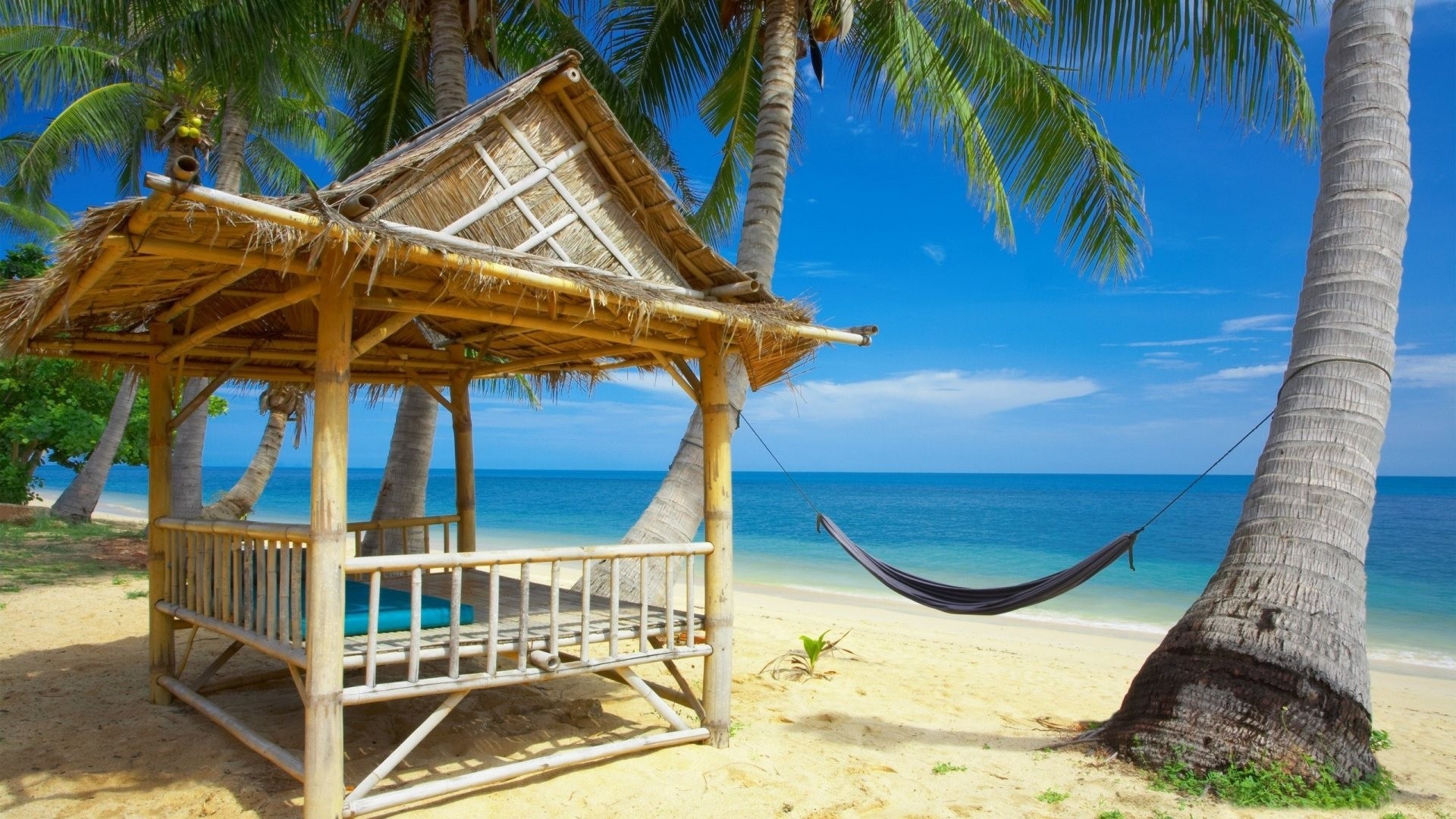 fond d'écran de cabane de plage,plage,vacances,arbre,océan,caraïbes