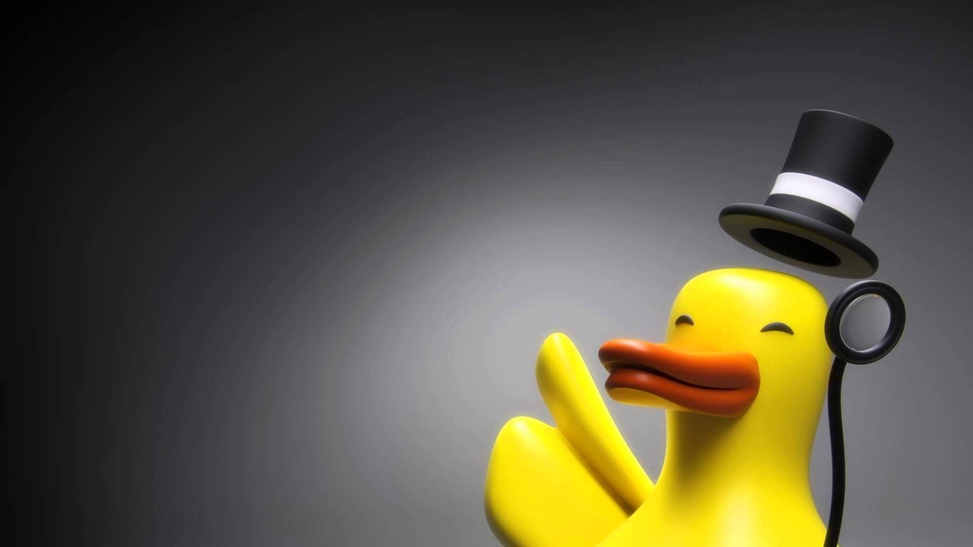 hat wallpaper,yellow,rubber ducky,duck,bird,water bird