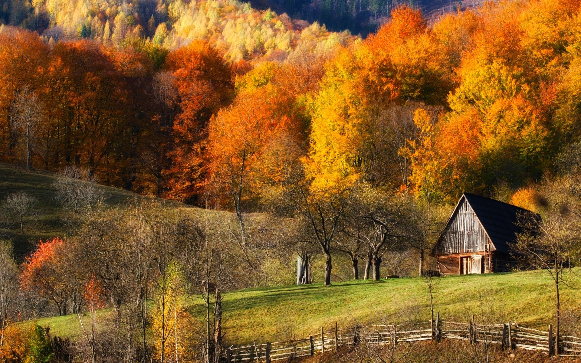 barn wallpaper,natural landscape,nature,tree,sky,leaf