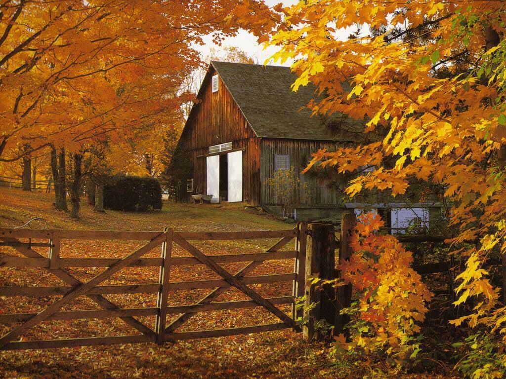barn wallpaper,nature,natural landscape,tree,leaf,autumn