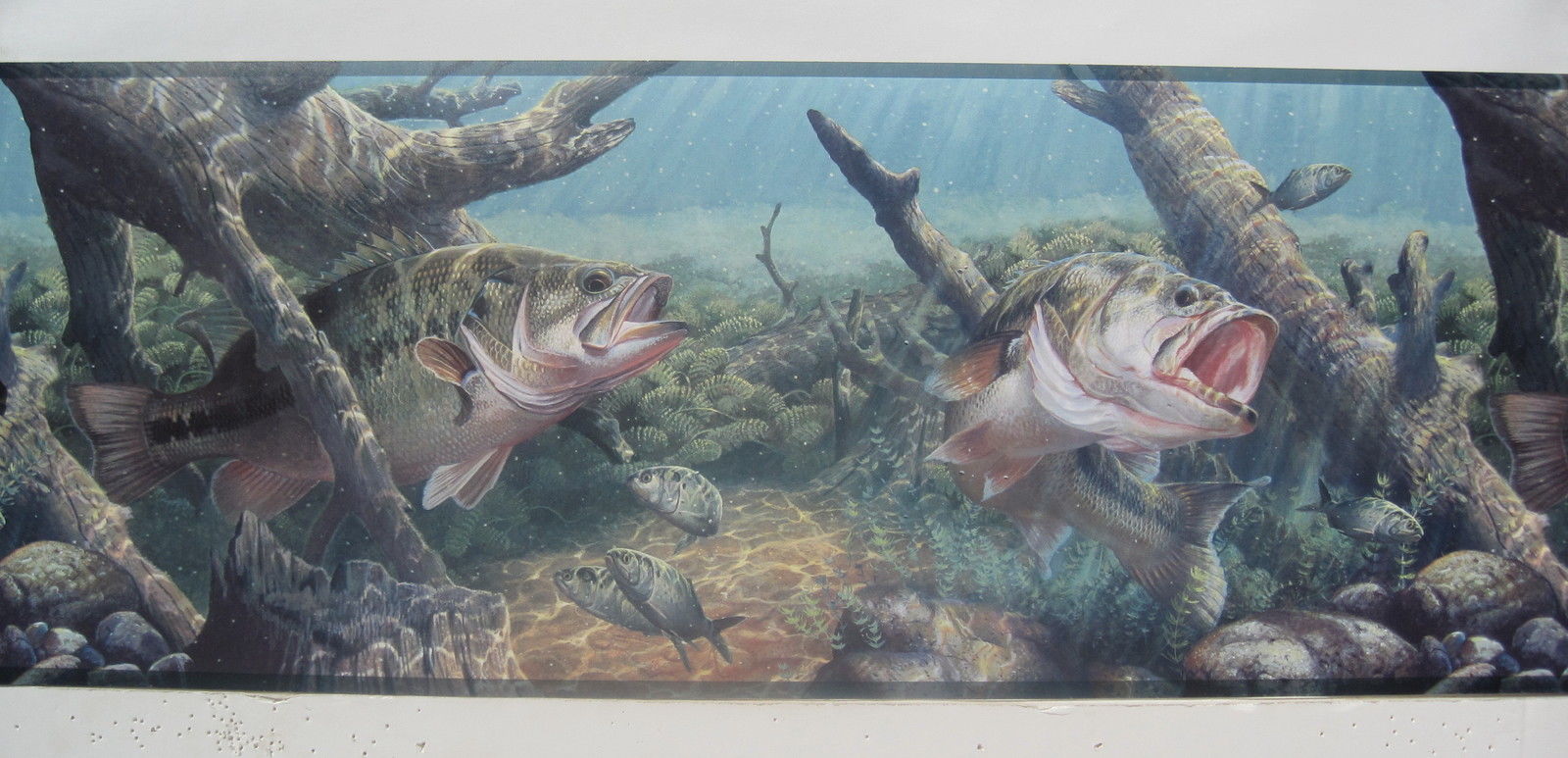 fish wallpaper border,fish,fish,bass,perch,painting