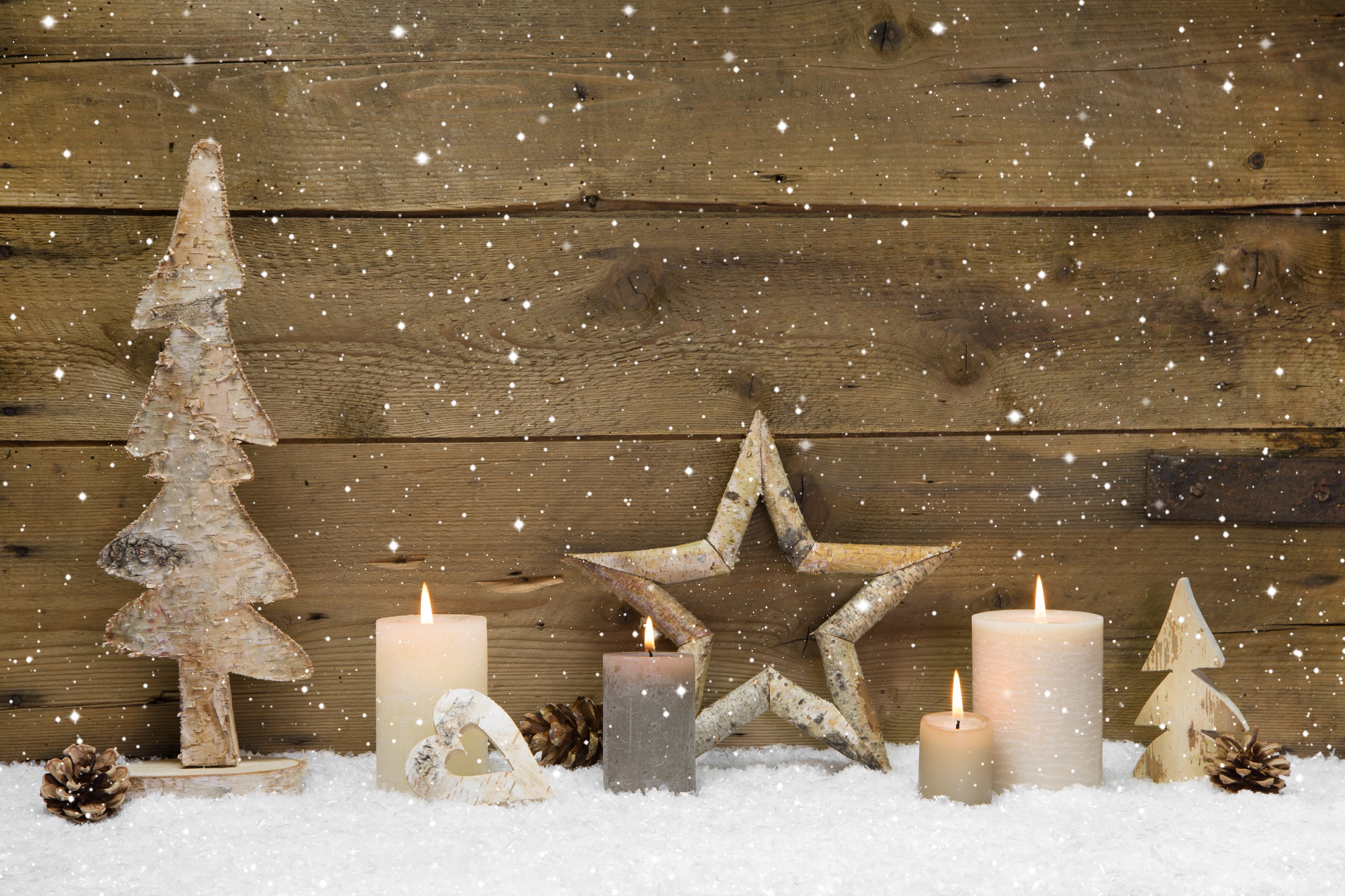 素朴な国の壁紙,雪,冬,凍結,木,クリスマスツリー