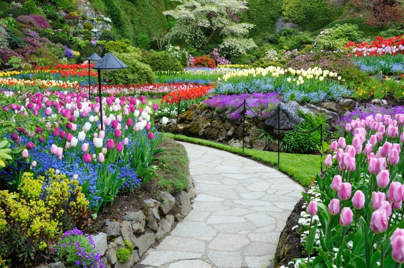 Multi Floral Colorful Butchart Garden During Spring - British Columbia ...