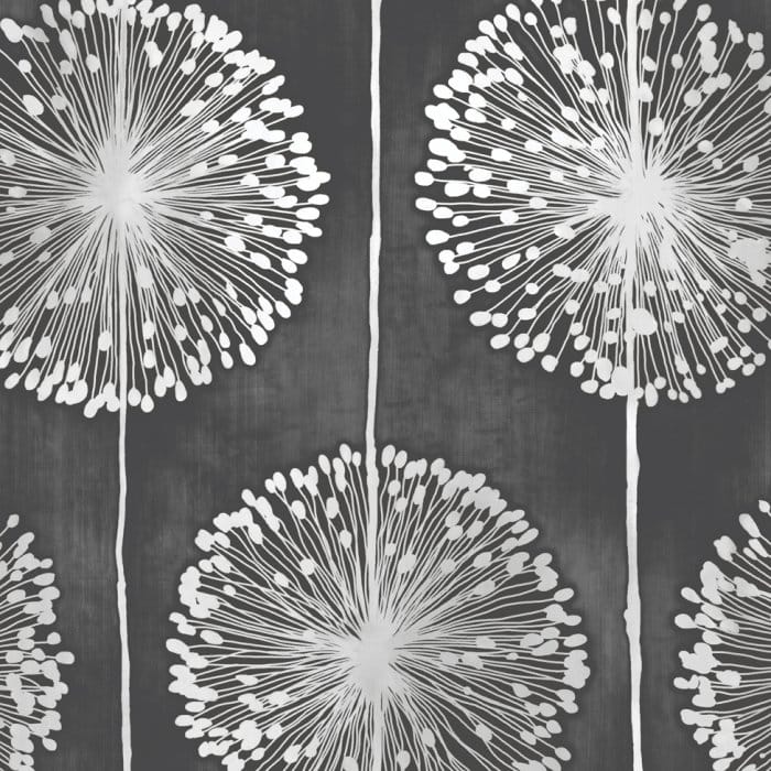 회색 꽃 무늬 벽지,민들레,불꽃,민들레,검정색과 흰색,흑백 사진