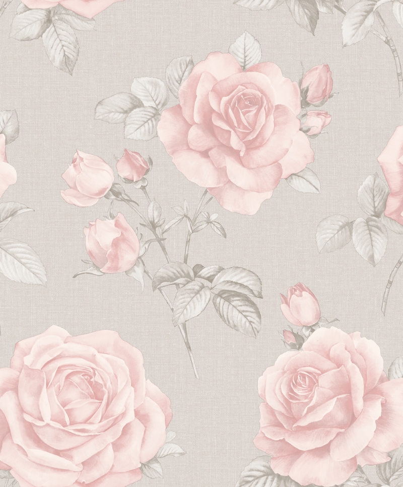 papel tapiz floral gris,rosado,rosas de jardín,flor,rosa,familia rosa