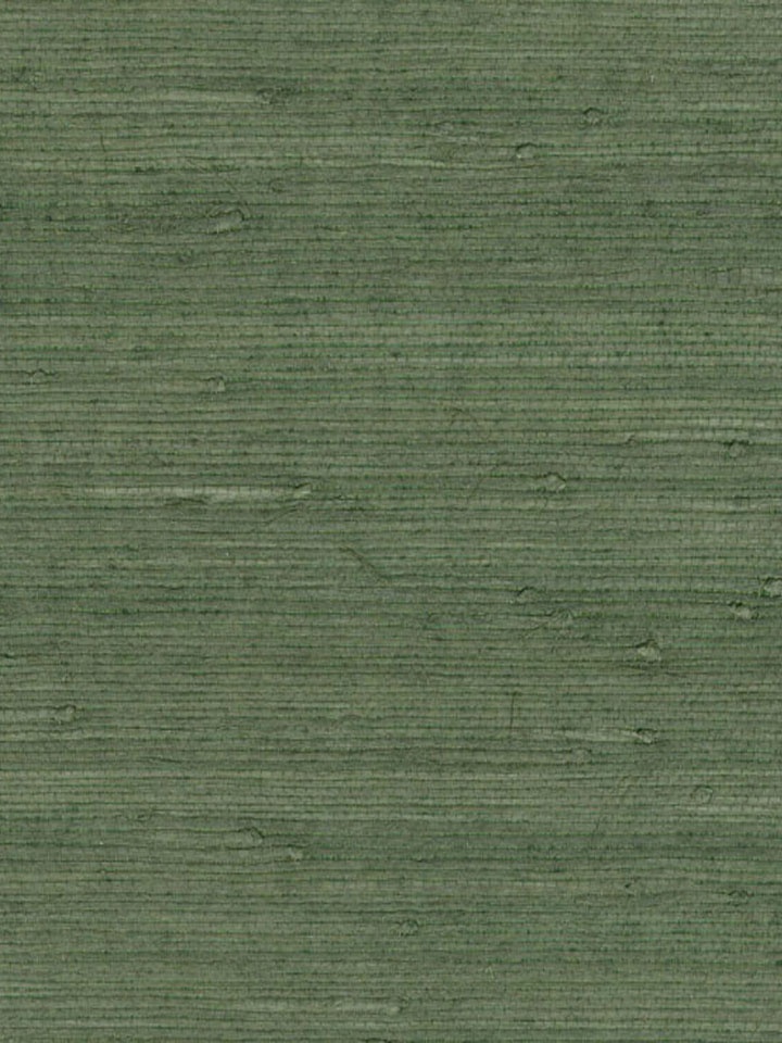 green grasscloth wallpaper,green,wood,flooring,floor