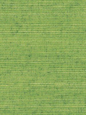papel pintado verde de la hierba,verde,modelo,lino