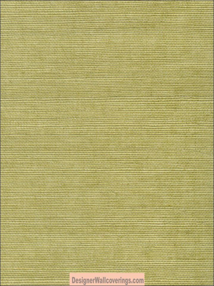 green grasscloth wallpaper,green,wood,beige,pattern,rectangle