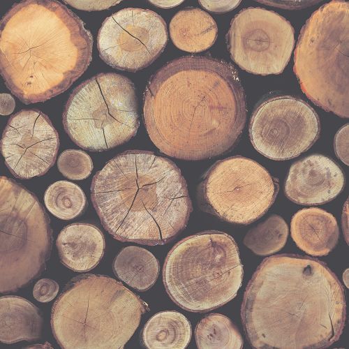 ログ効果壁紙,木材,木材,トランク,木,木の切り株