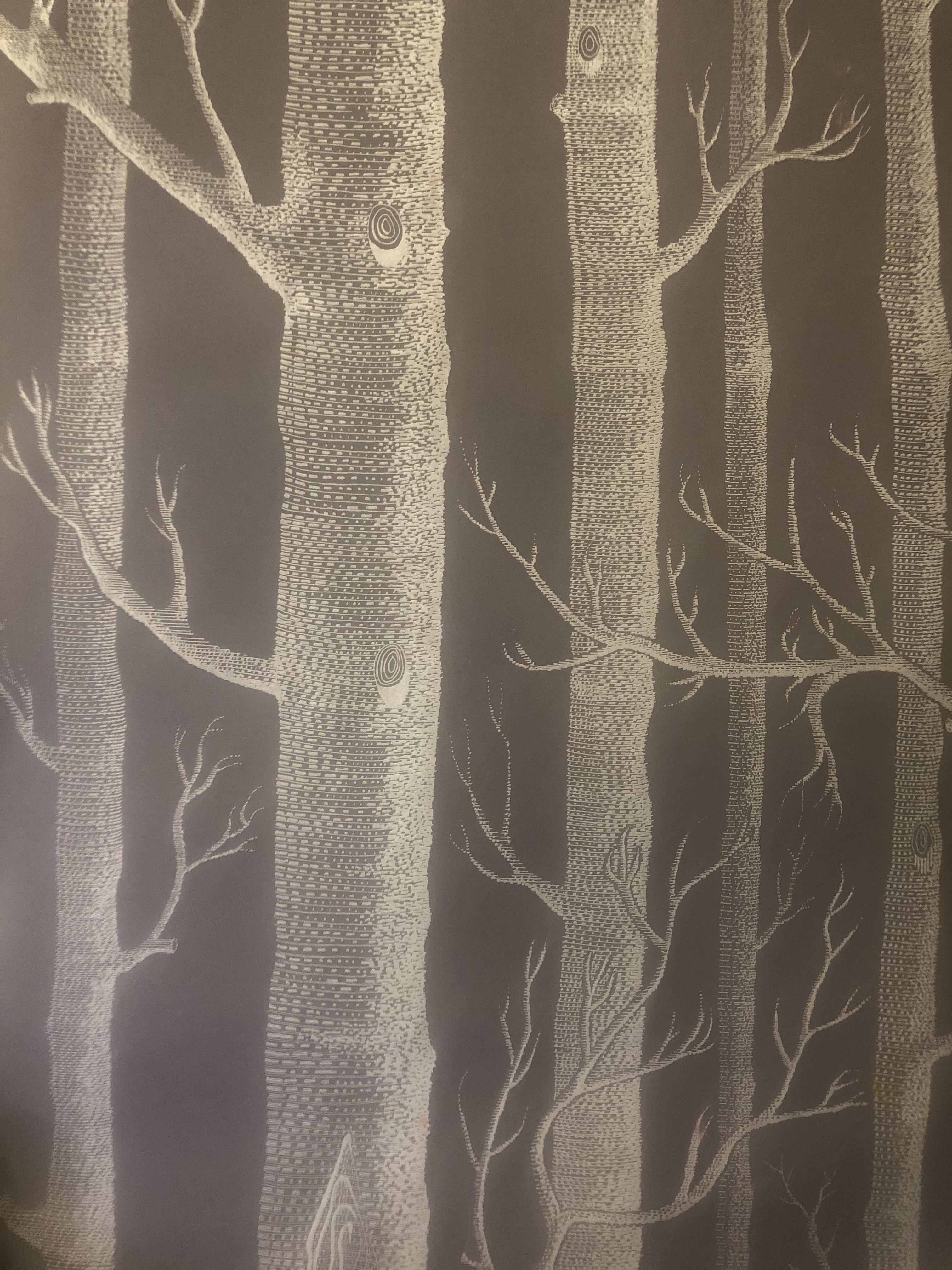 papier peint faux bois,arbre,brindille,tronc,forêt,plante ligneuse