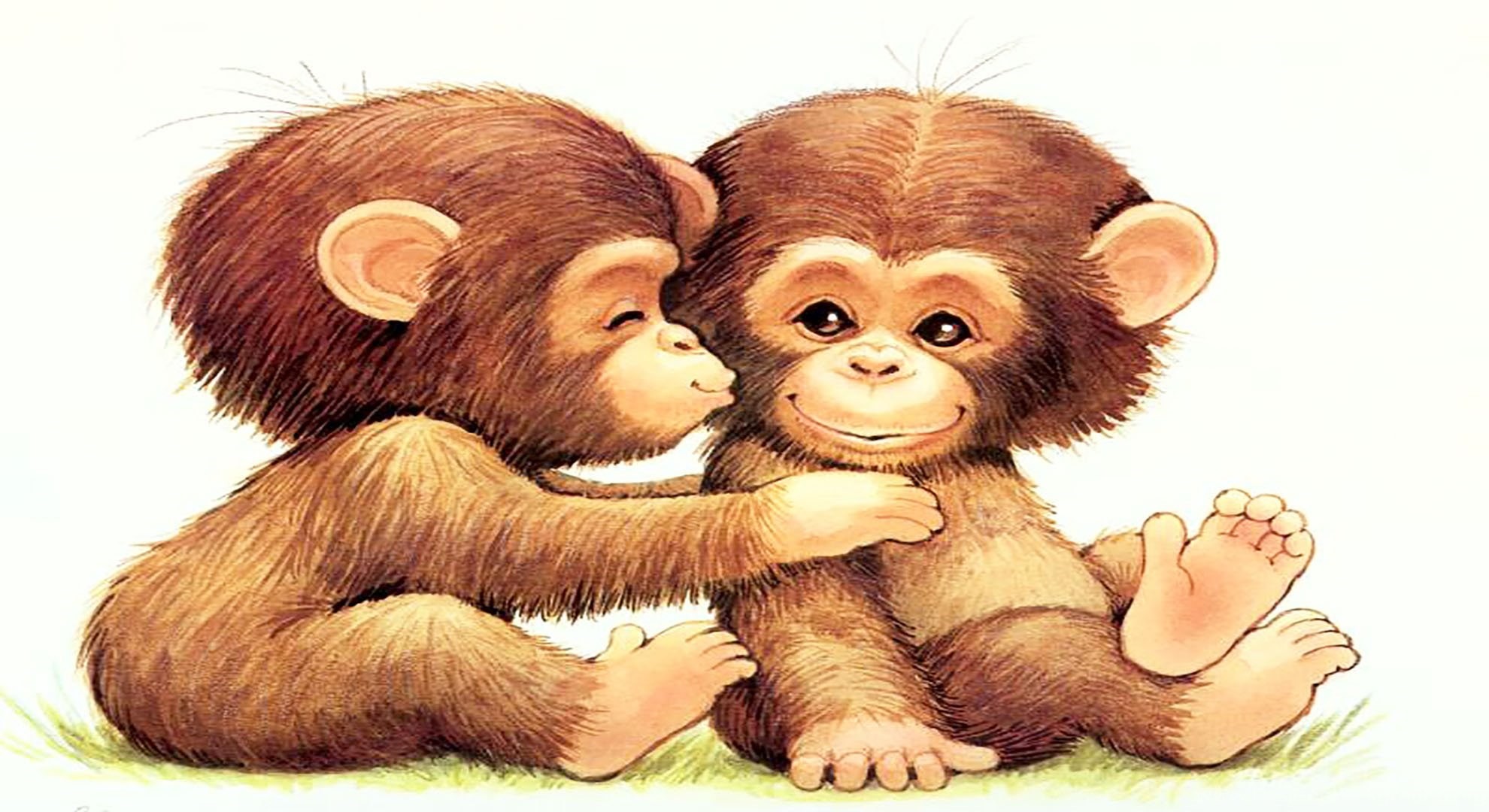 carta da parati scimmia dei cartoni animati,orangutan,primate,scimpanzé comune,amicizia,cartone animato