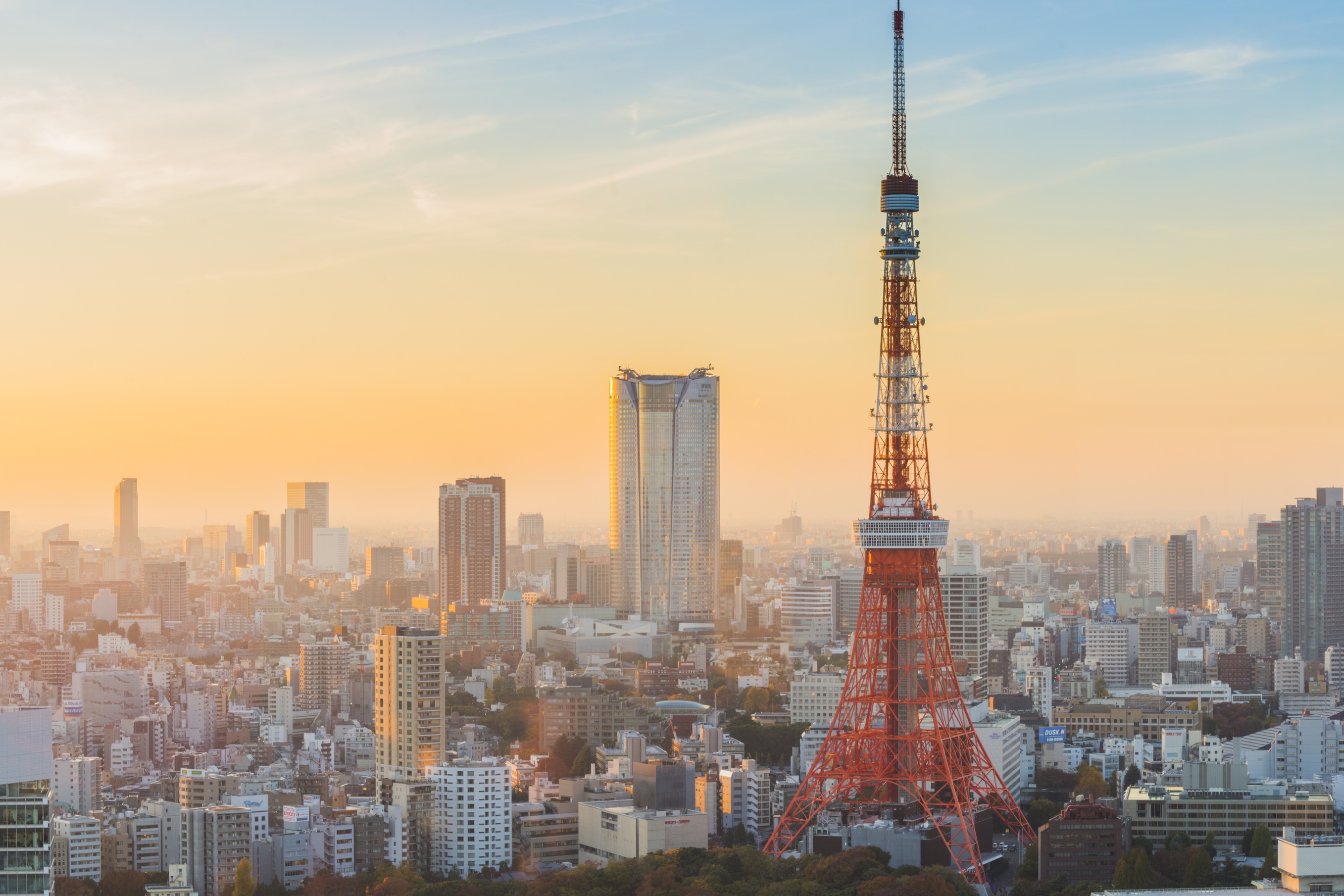 東京タワーの壁紙,首都圏,都市の景観,超高層ビル,市,市街地