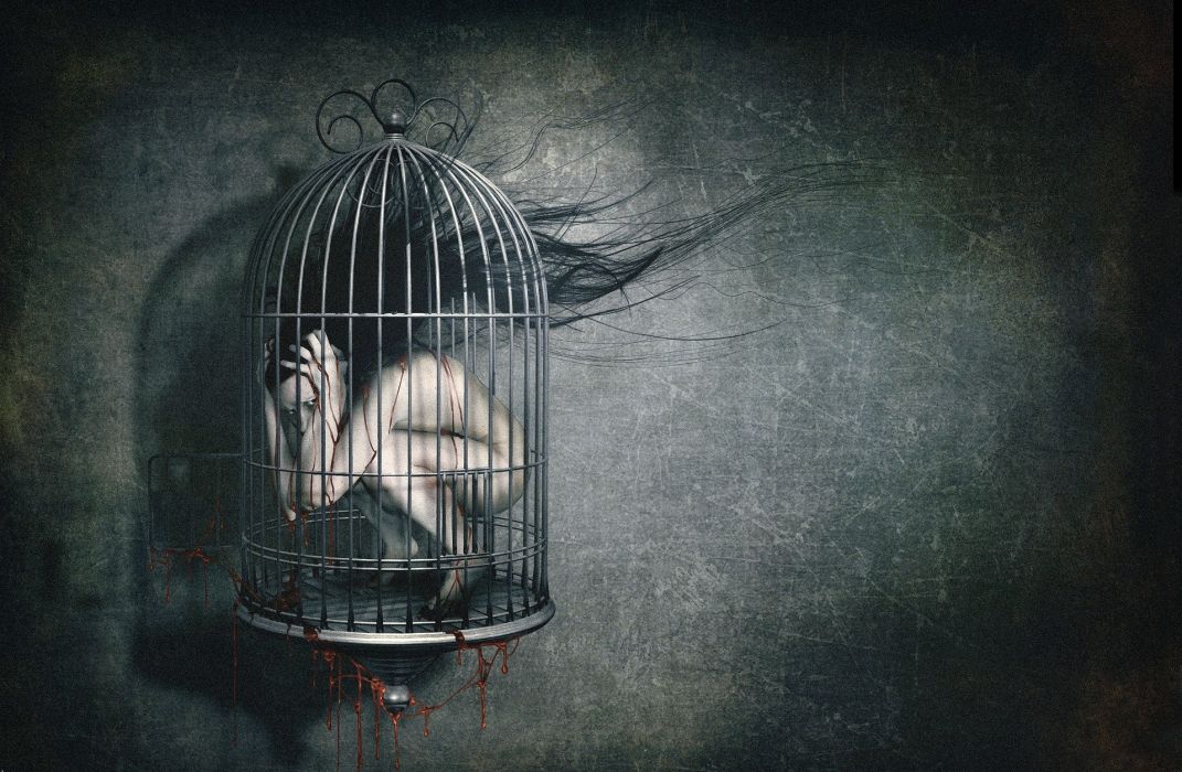 papier peint cage,cage,illustration,photographie de nature morte,ténèbres,oiseau