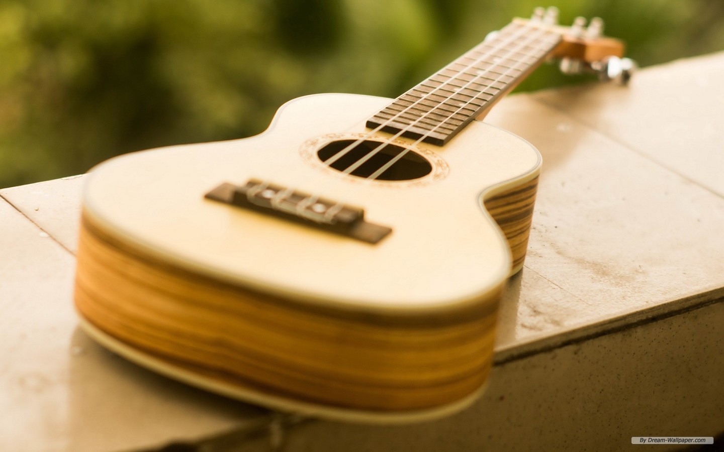carta da parati ukulele,chitarra,strumento musicale,strumenti a corda pizzicati,chitarra acustica,accessorio per strumento a corda