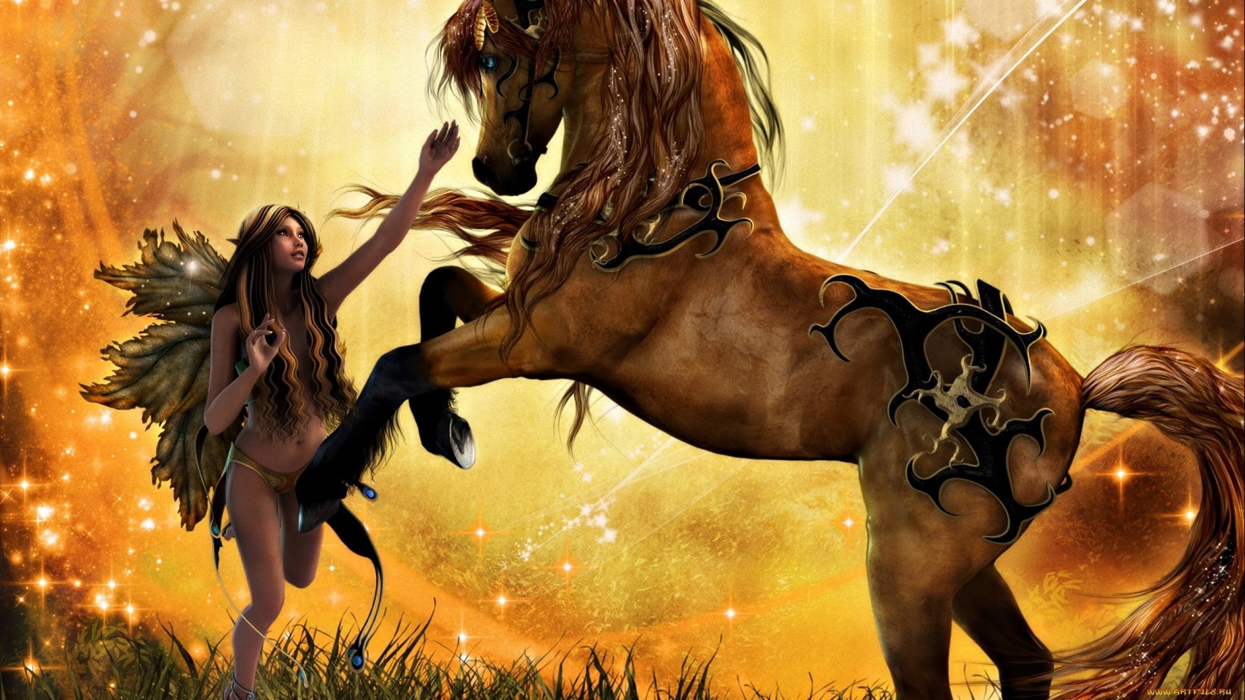 fairy wallpaper hd,horse,cg artwork,mustang horse,mythology,stallion