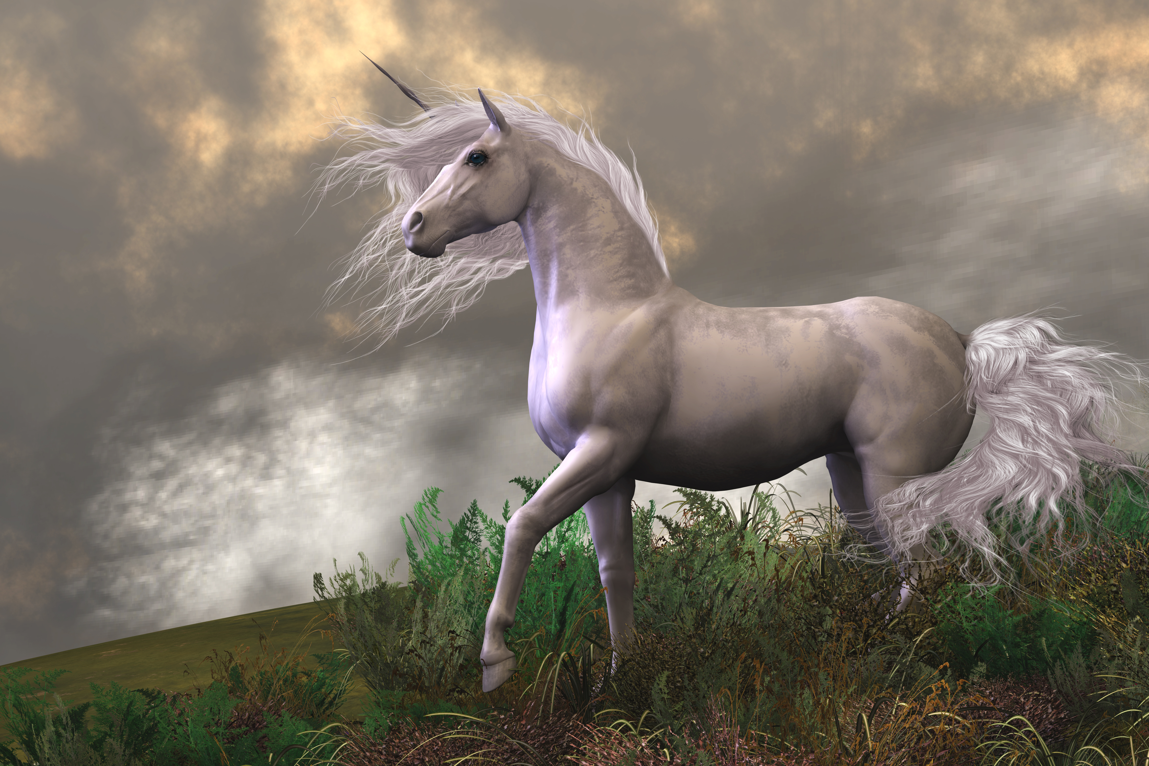 unicorn wallpaper b&m,horse,mane,fictional character,sky,unicorn