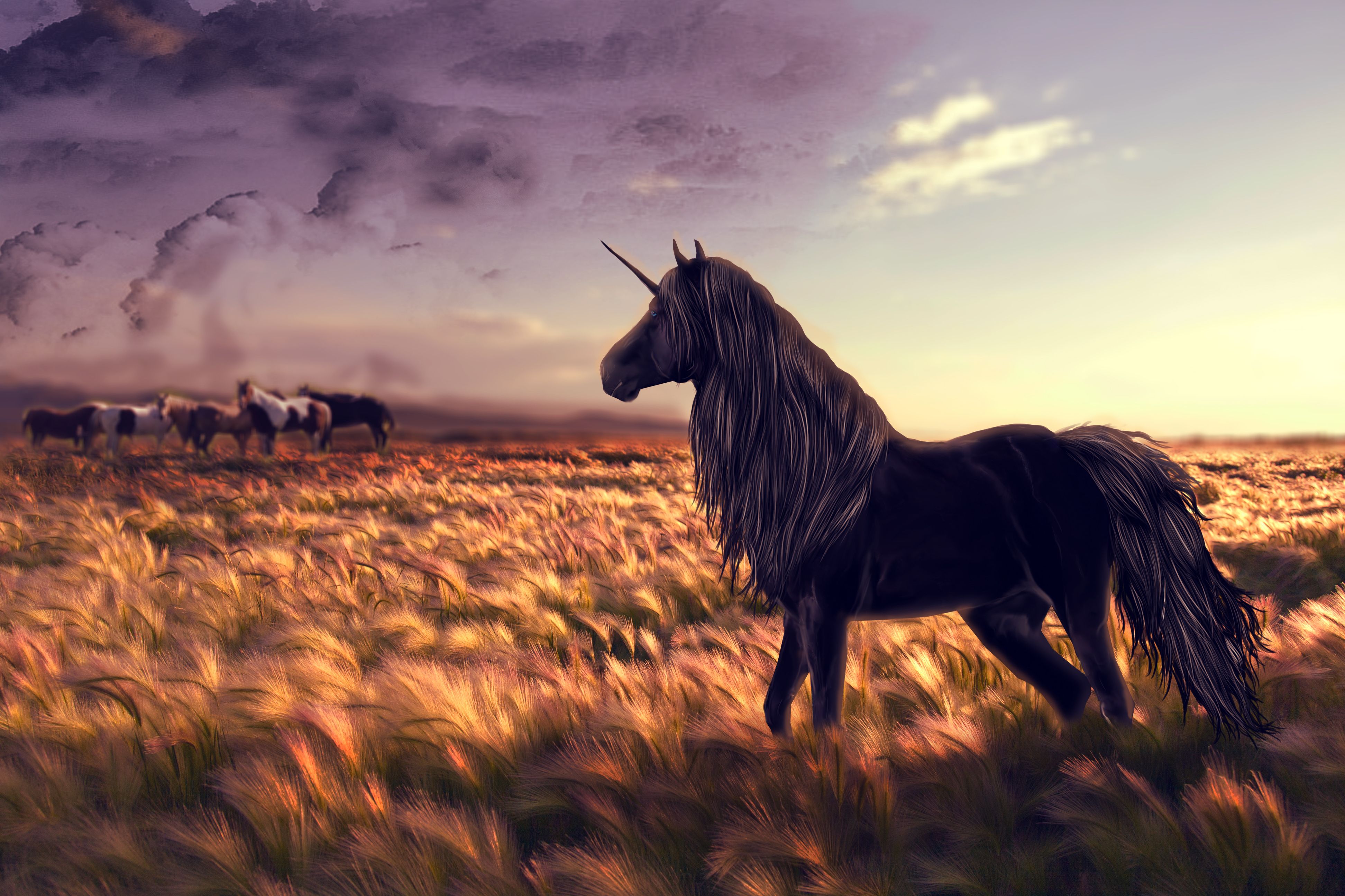 fondo de pantalla de unicornio b & m,cielo,caballo,melena,pradera,fauna silvestre