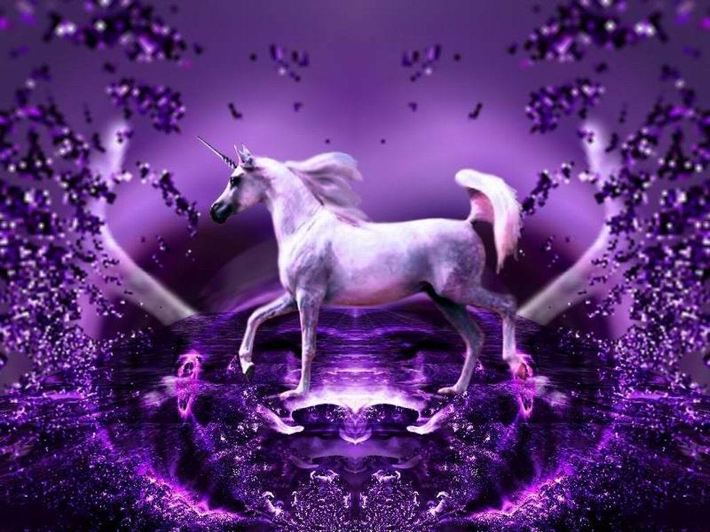 fondo de pantalla de unicornio b & m,púrpura,unicornio,violeta,personaje de ficción,criatura mítica