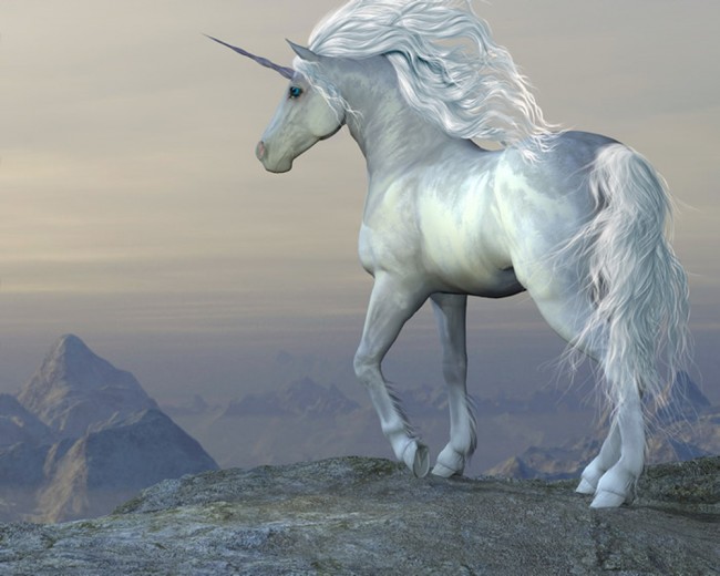 fondo de pantalla de unicornio b & m,unicornio,personaje de ficción,caballo,criatura mítica,figura animal