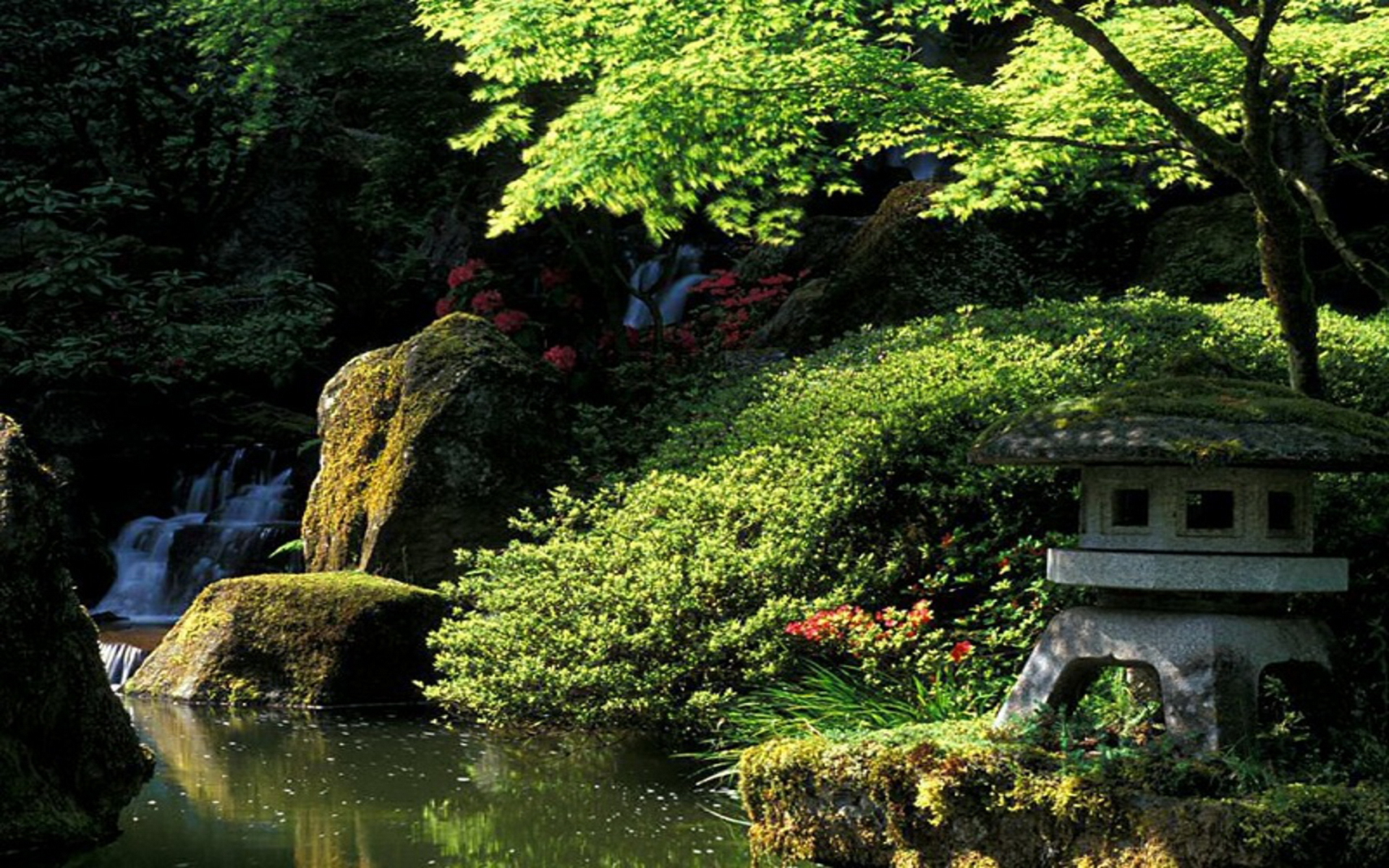 自然の庭の壁紙,自然の風景,自然,水路,庭園,木