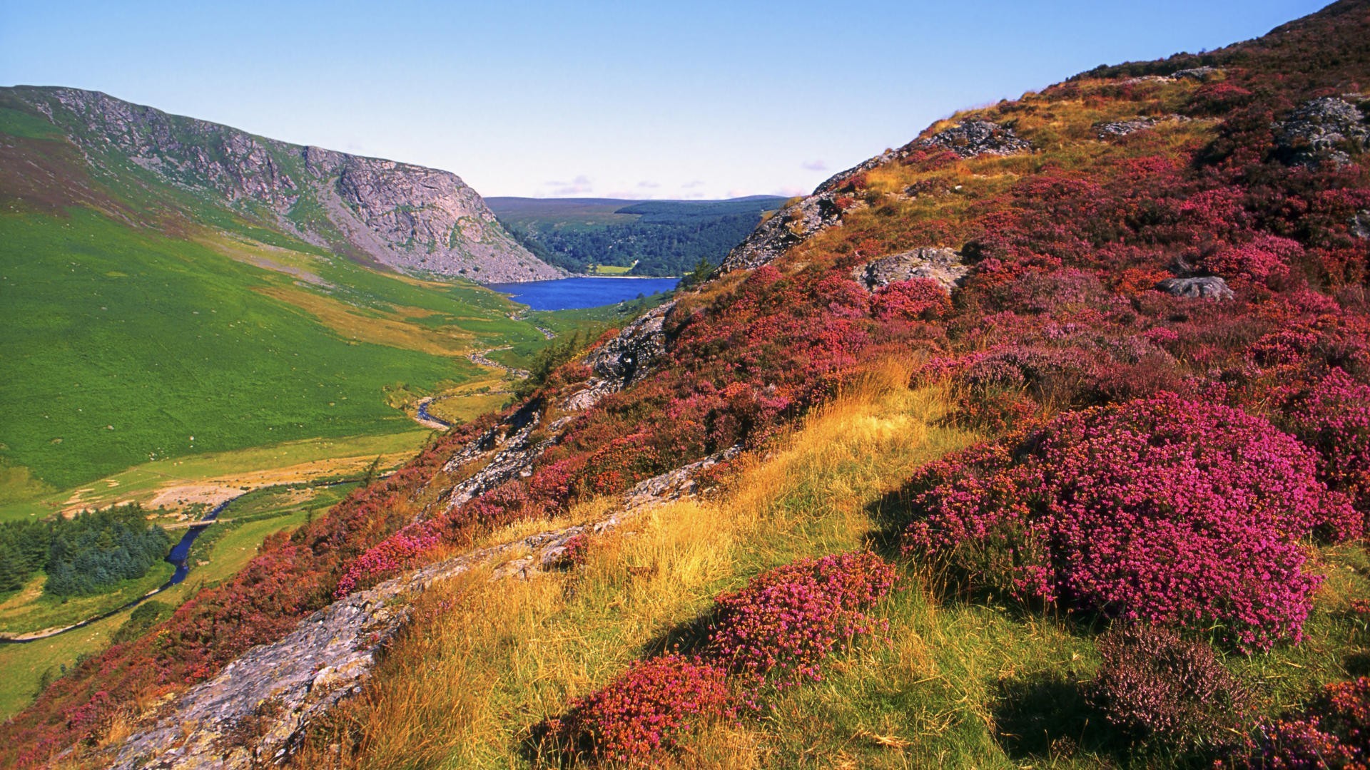 tapete irland b & q.,natürliche landschaft,natur,berg,hügel,grat