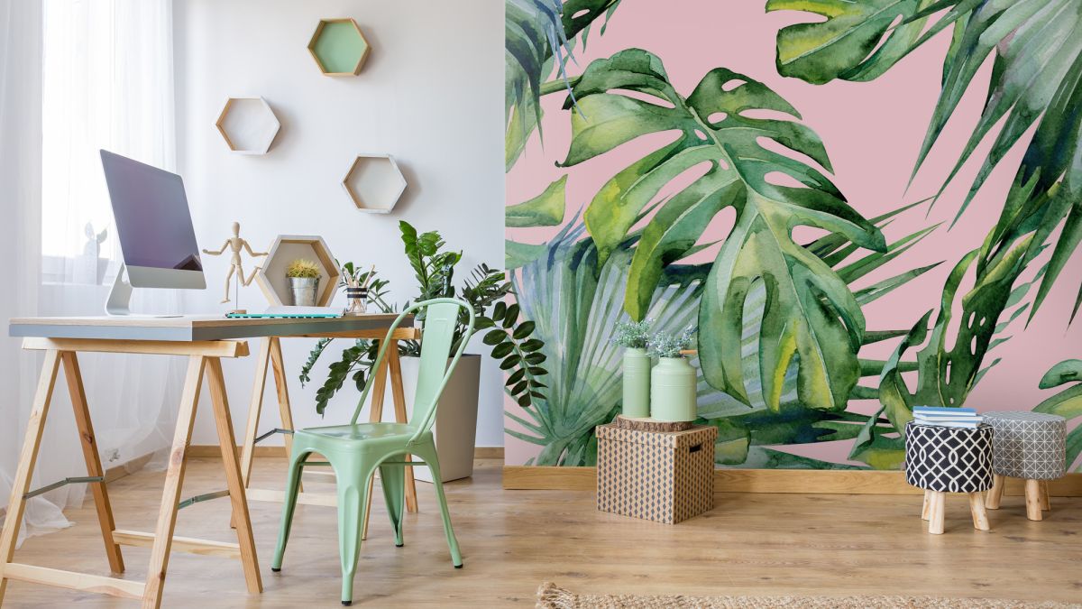 현대 부엌 벽지 디자인,초록,관엽 식물,몬스 테라 델리 코사,방,잎