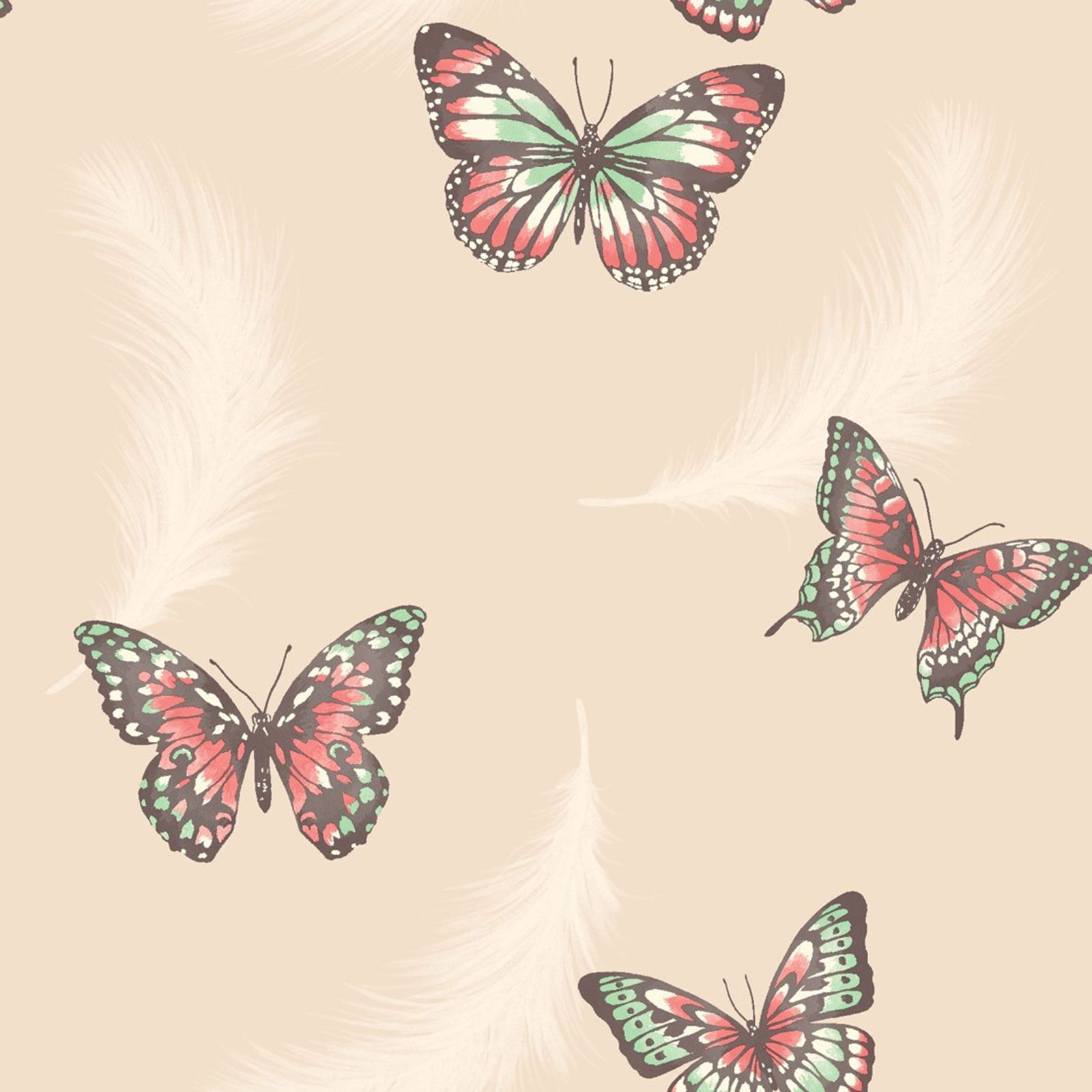 寝室の蝶の壁紙,バタフライ,シンシア亜属,昆虫,蛾と蝶,無脊椎動物