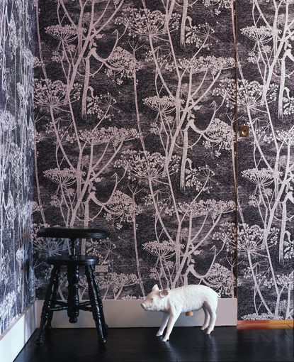 cow parsley wallpaper,tree,branch,twig,woody plant,wallpaper