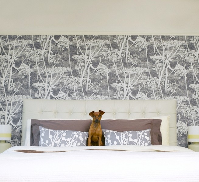 cow parsley wallpaper,room,wall,furniture,wallpaper,interior design