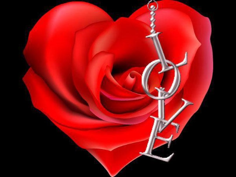 rose with heart wallpaper,red,rose,heart,garden roses,love