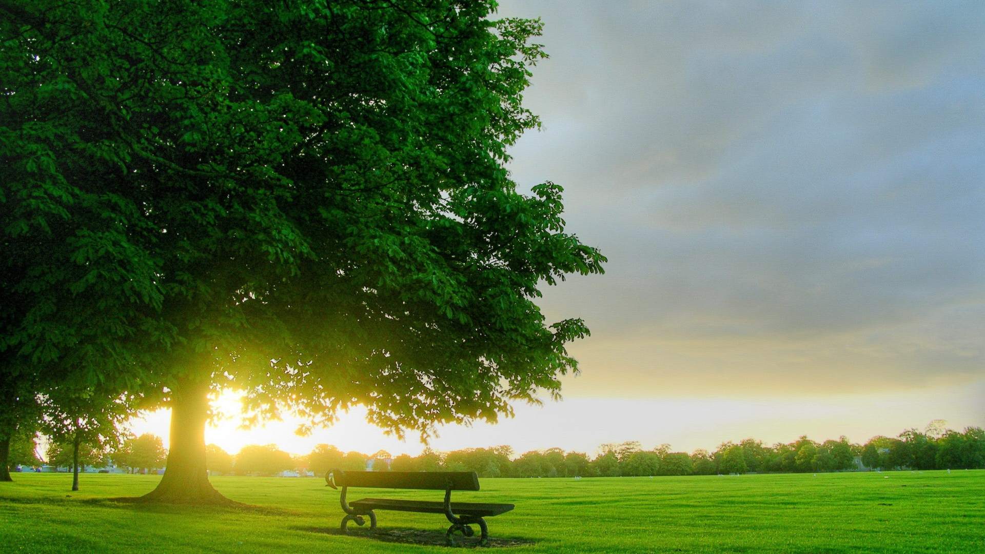 carta da parati fotografica straordinaria,verde,paesaggio naturale,cielo,natura,albero