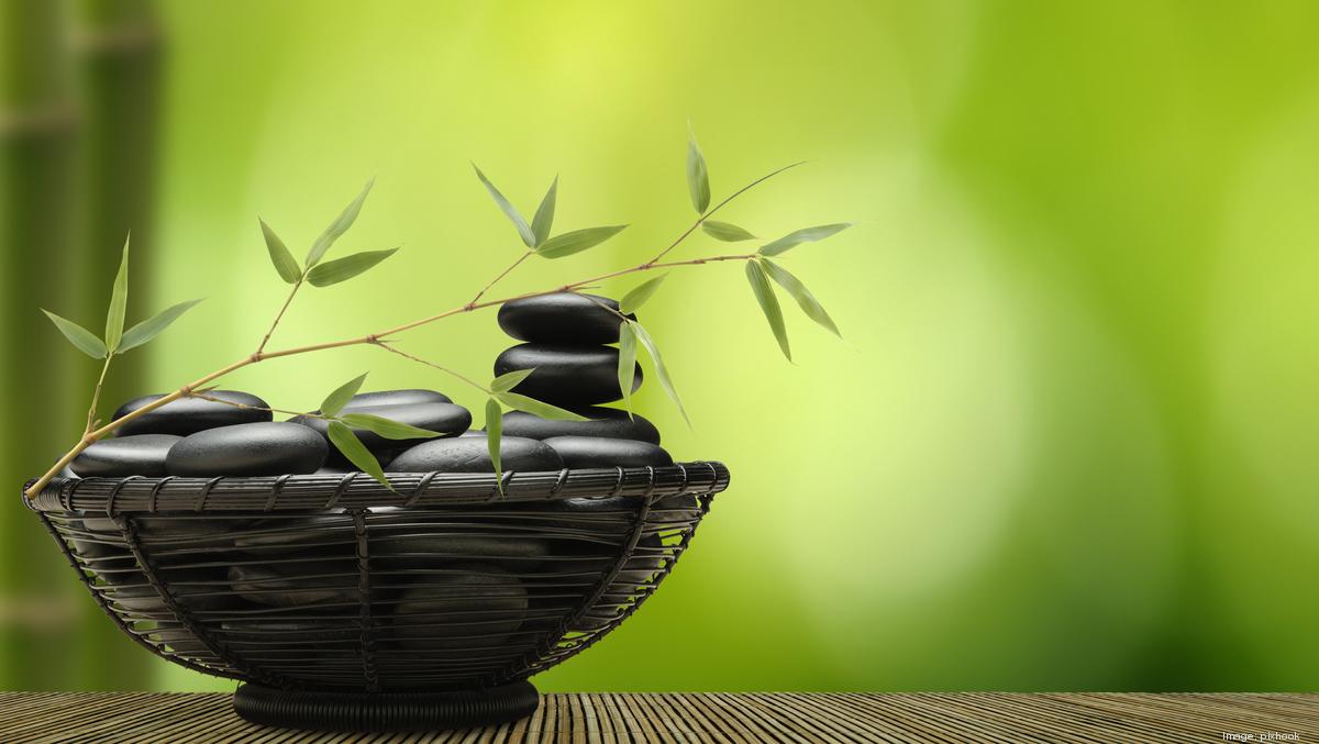 fond d'écran feng shui pour la richesse,la nature,vert,pot de fleur,photographie de nature morte,plante d'appartement