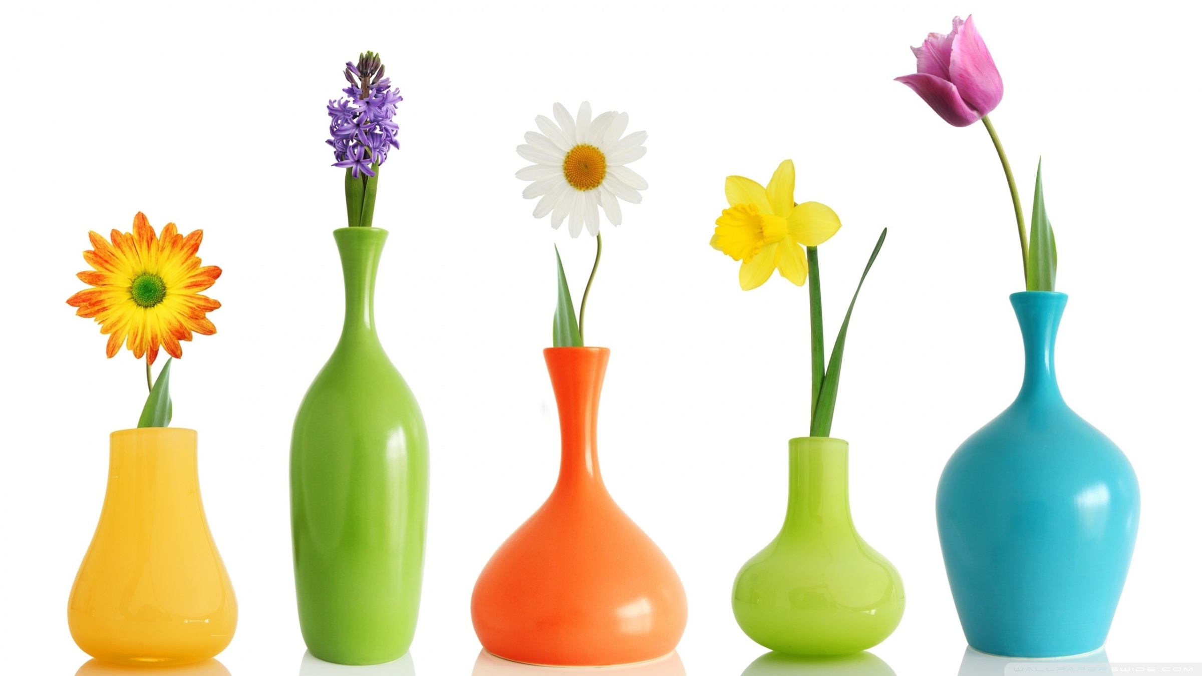 flower pot wallpaper,vase,yellow,artifact,flower,plant