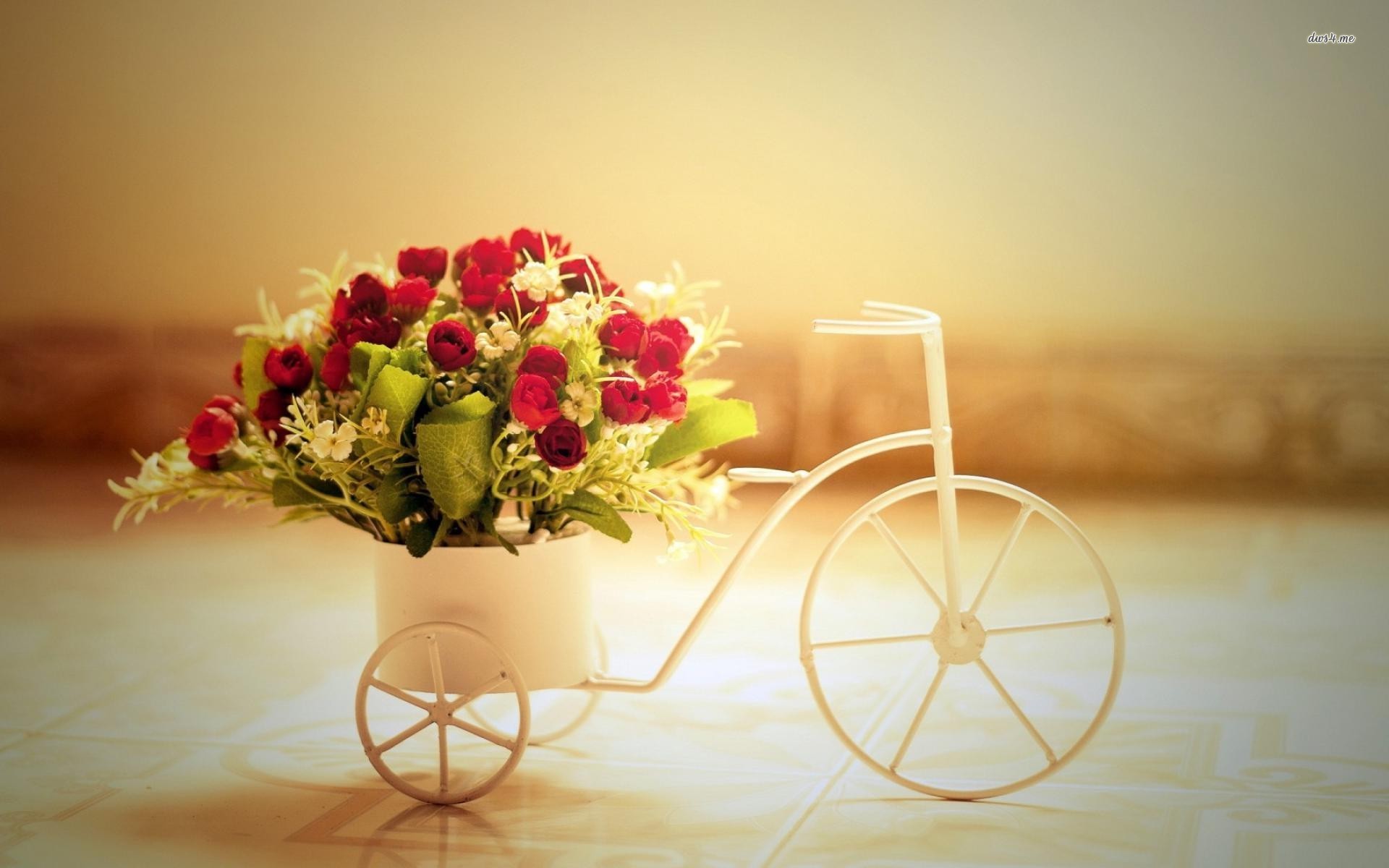 carta da parati vaso di fiori,fotografia di still life,fiore,mazzo,tagliare i fiori,disposizione dei fiori