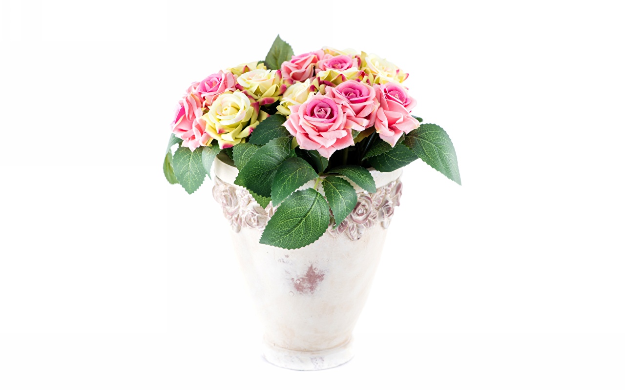 flower pot wallpaper,flower,flowerpot,pink,cut flowers,bouquet (717920
