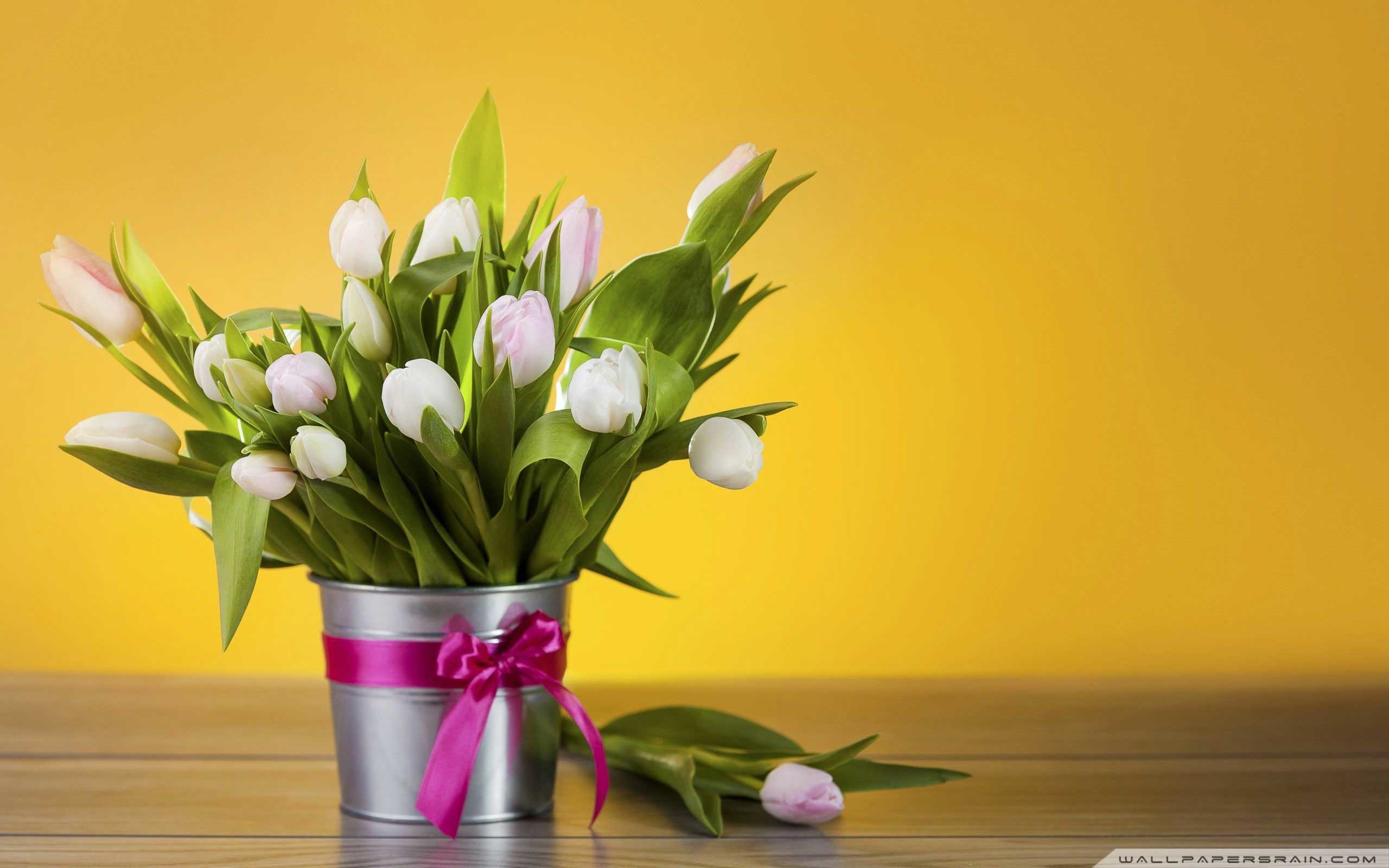 flower pot wallpaper,flower,flowerpot,plant,cut flowers,still life photography