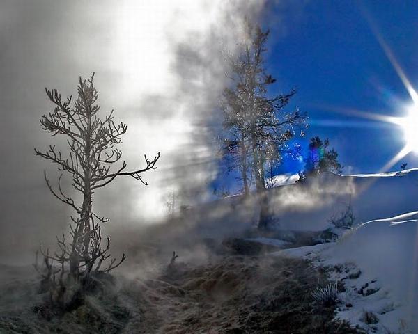 increíble fondo de pantalla del mundo,cielo,invierno,árbol,atmósfera,congelación