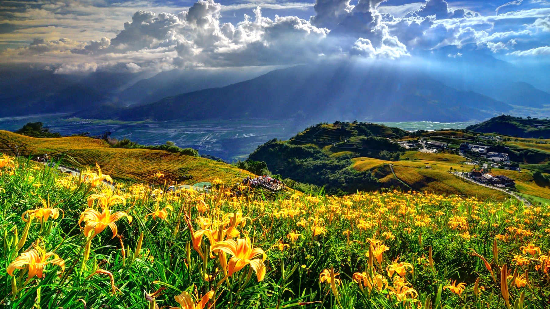 increíble fondo de pantalla del mundo,paisaje natural,naturaleza,cielo,prado,pradera