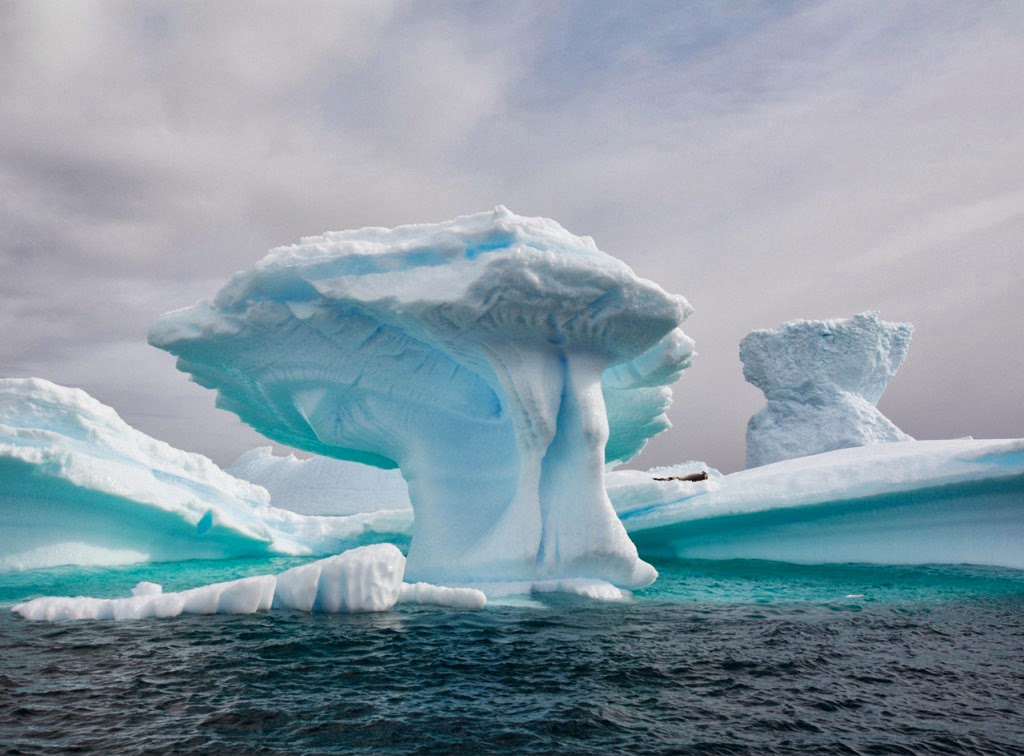 벽지를위한 굉장한 그림,빙산,빙,북극해,대양,빙하