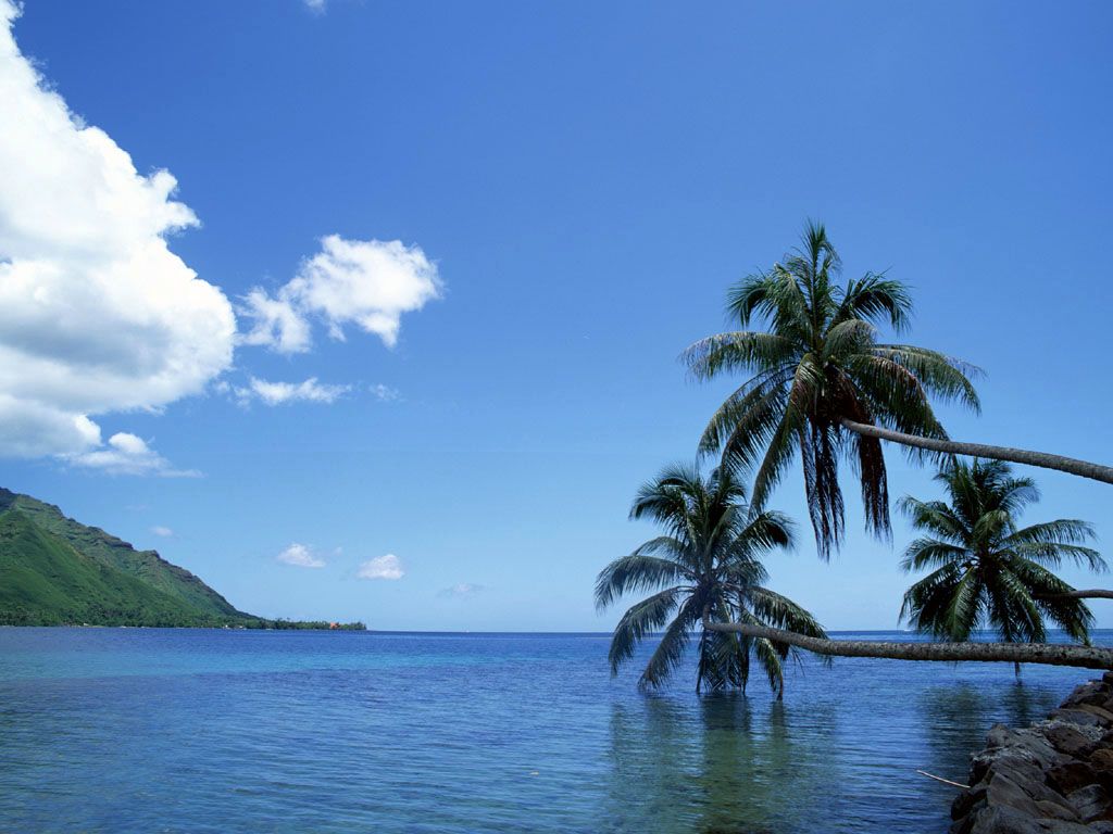 descargar algunos fondos de pantalla,cuerpo de agua,cielo,naturaleza,paisaje natural,árbol