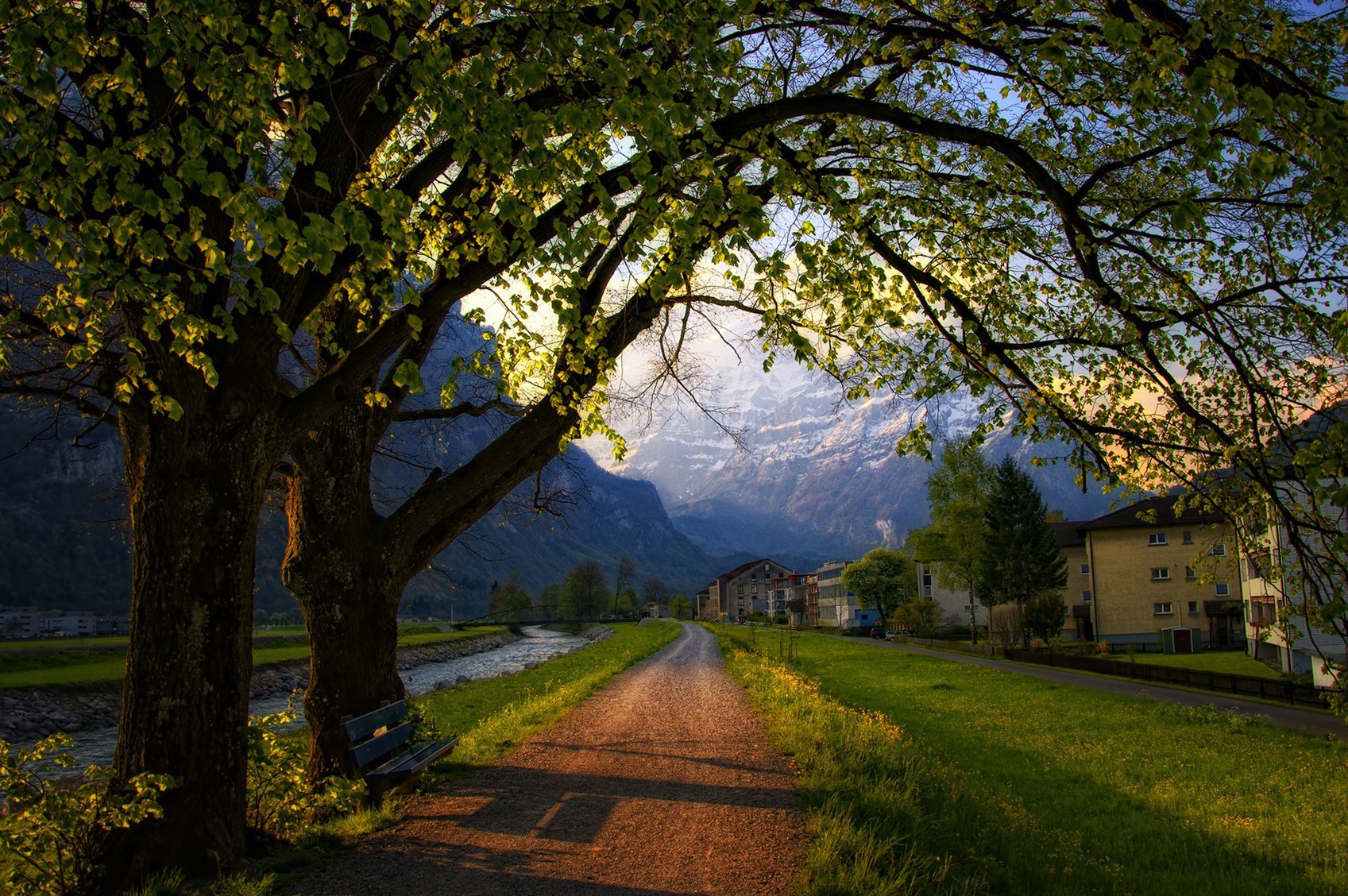 immagini fantastiche per lo sfondo,paesaggio naturale,albero,natura,cielo,mattina