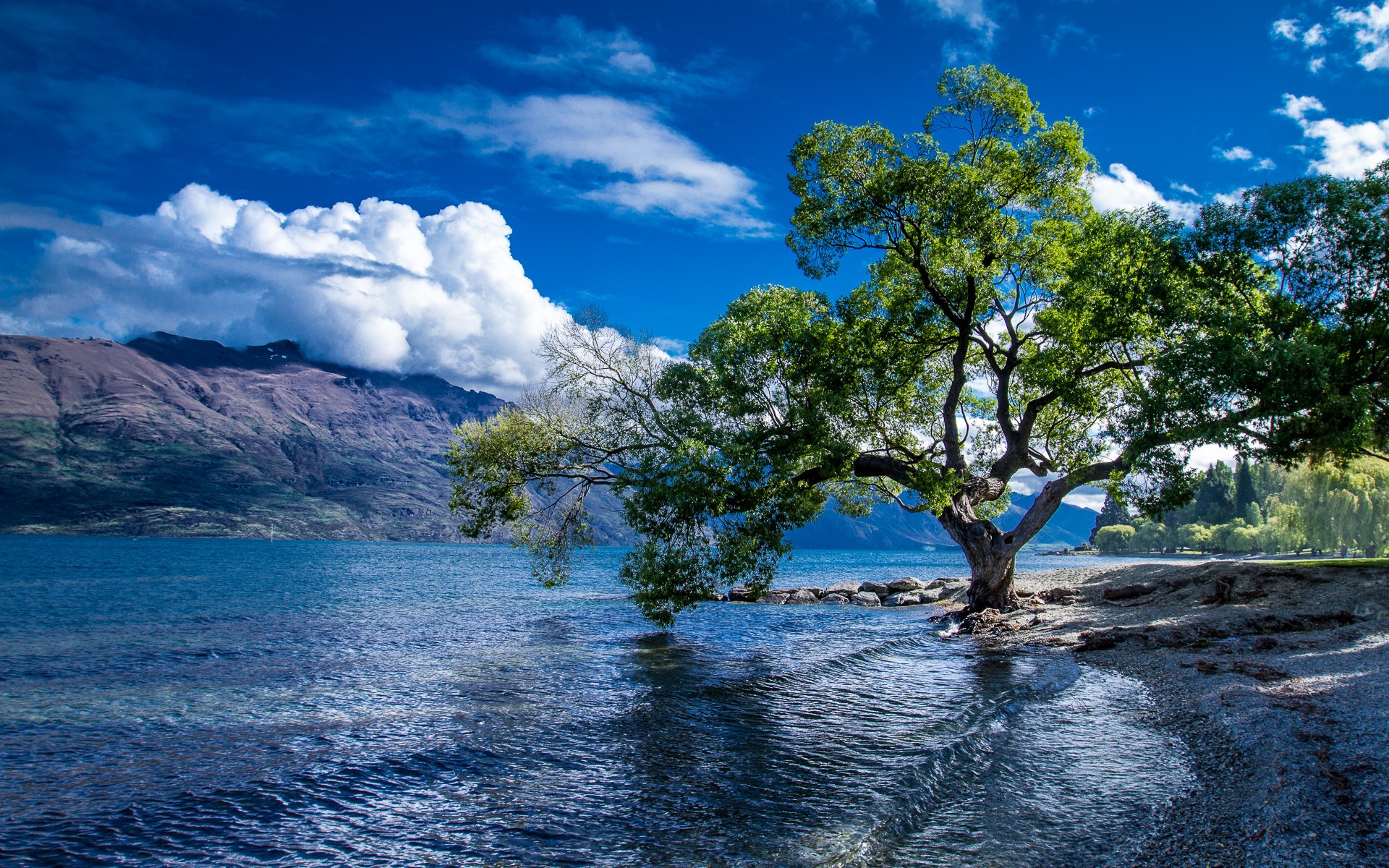 new wallpaper pic,natural landscape,nature,body of water,sky,water