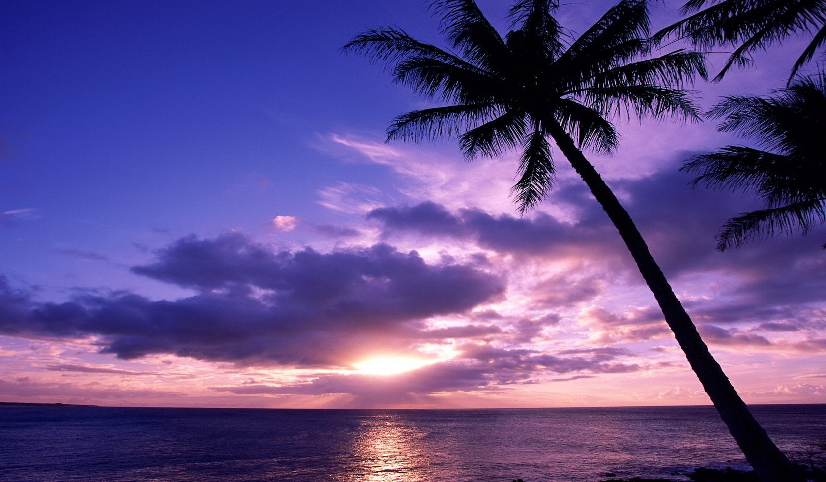 amazing desktop wallpapers hd,sky,horizon,tree,tropics,sunset