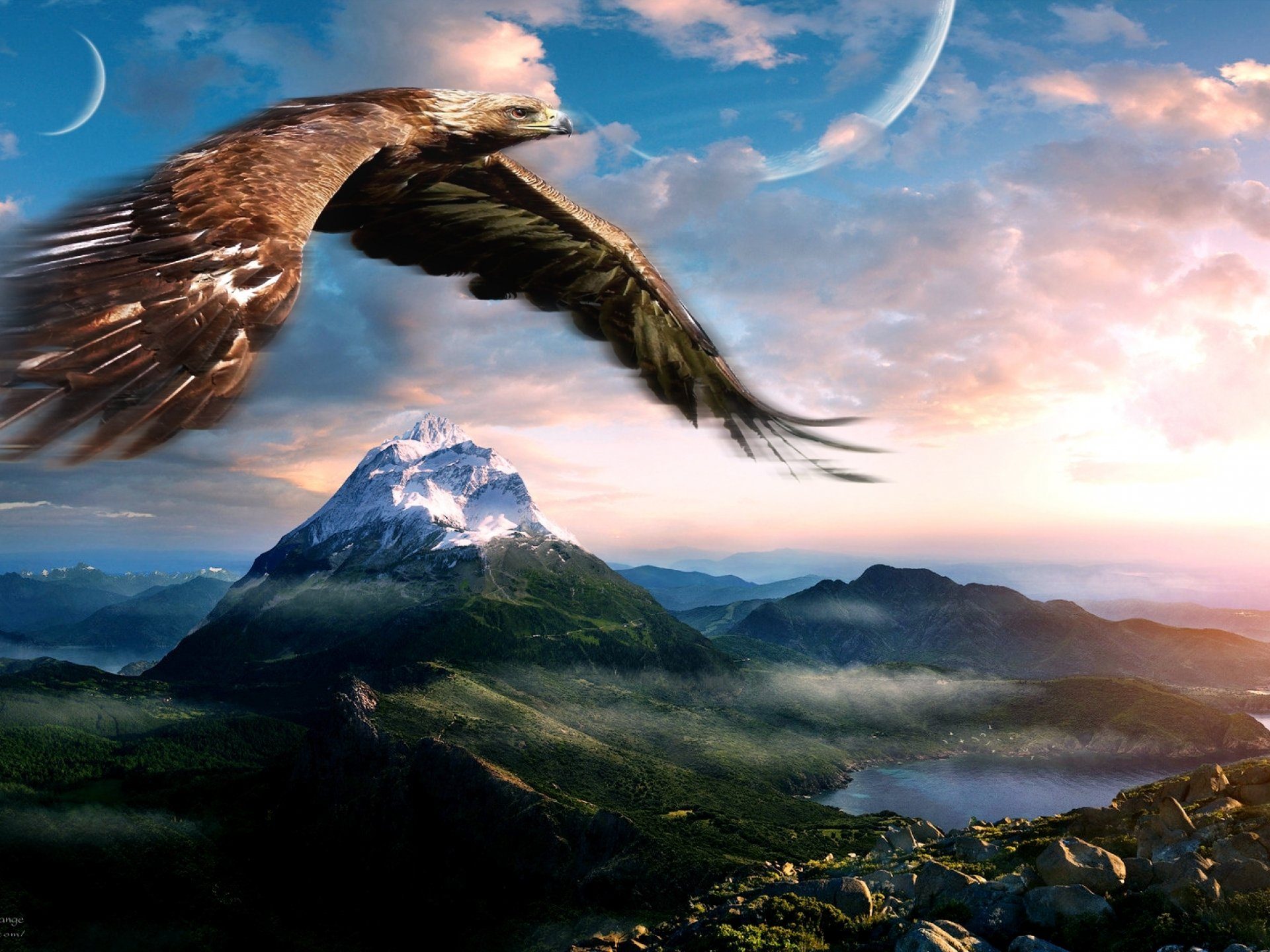 fond d'écran fantastik,la nature,oiseau de proie,ciel,aigle en or,aigle