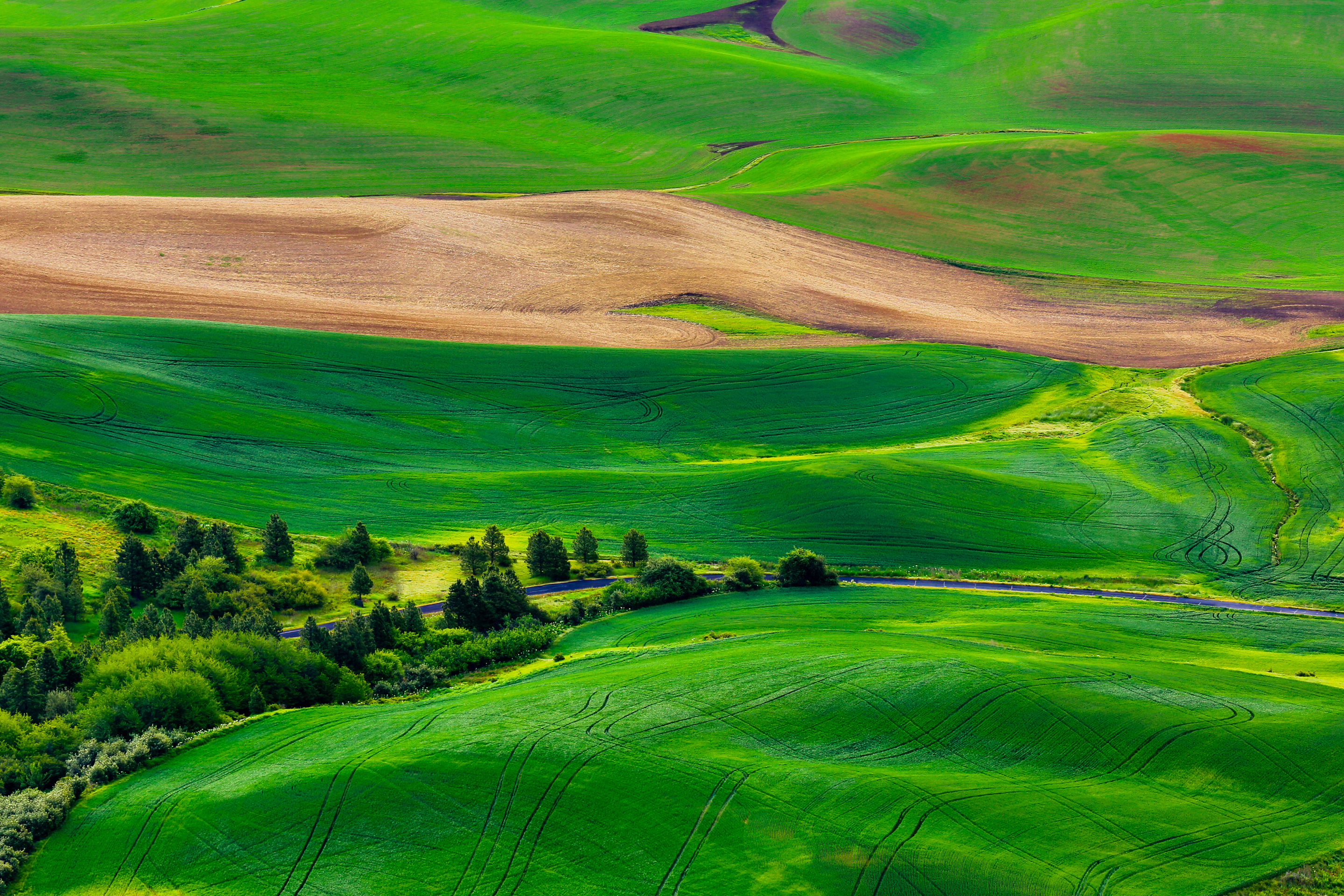 緑の風景の壁紙,緑,自然,草原,自然の風景,丘