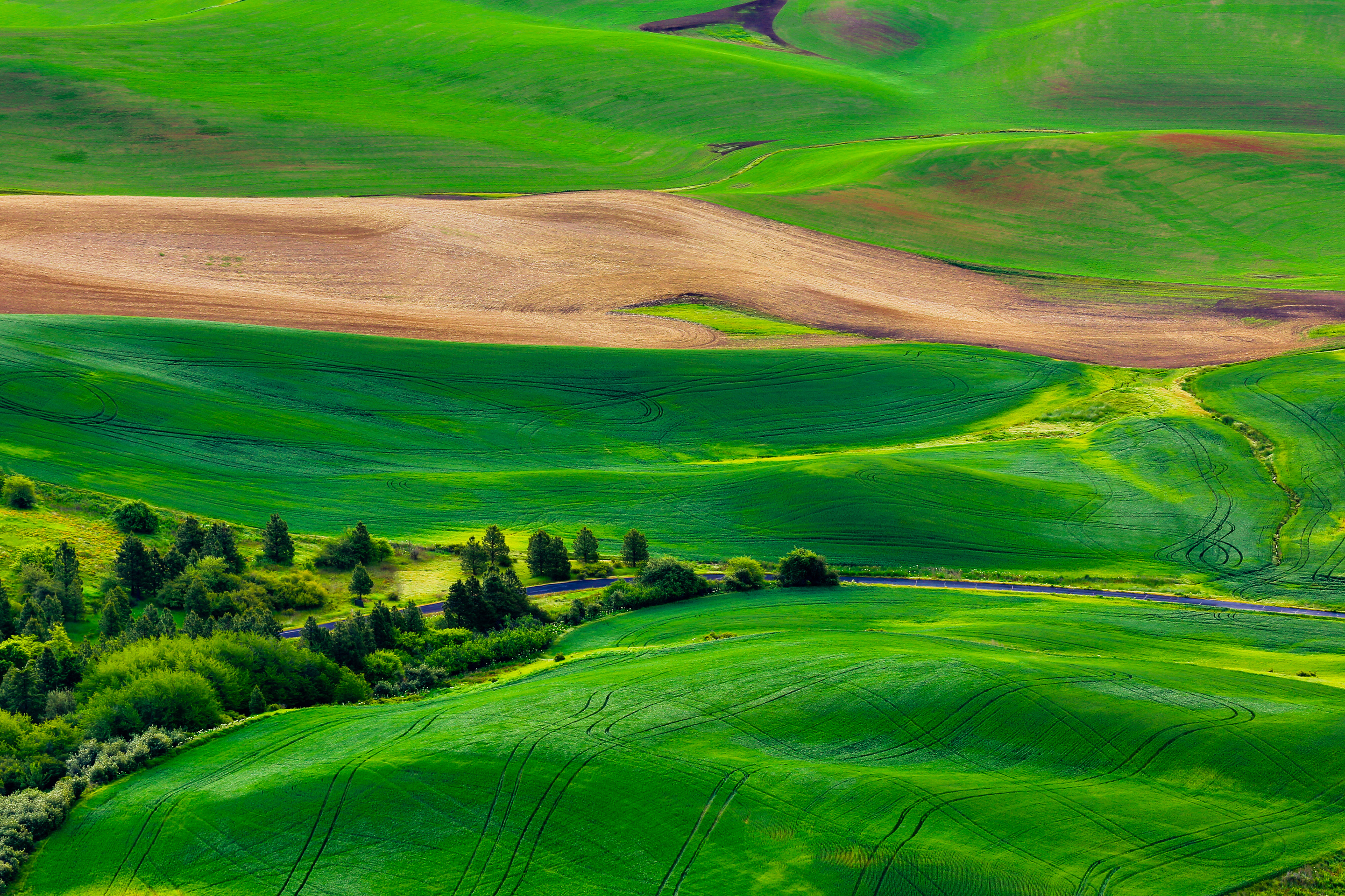 grüne landschaft tapete,grün,natur,wiese,natürliche landschaft,hügel