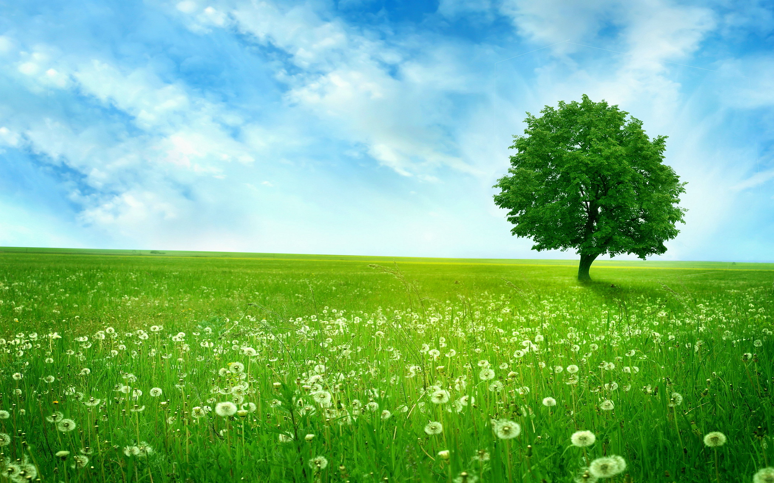 緑の風景の壁紙,自然の風景,自然,緑,草原,牧草地