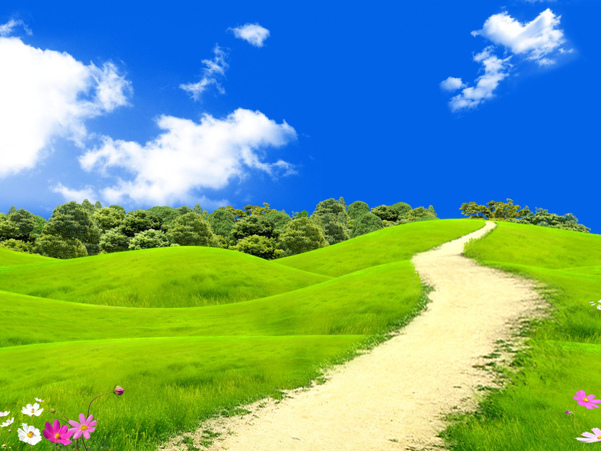 green landscape wallpaper,natural landscape,nature,people in nature,sky,grassland