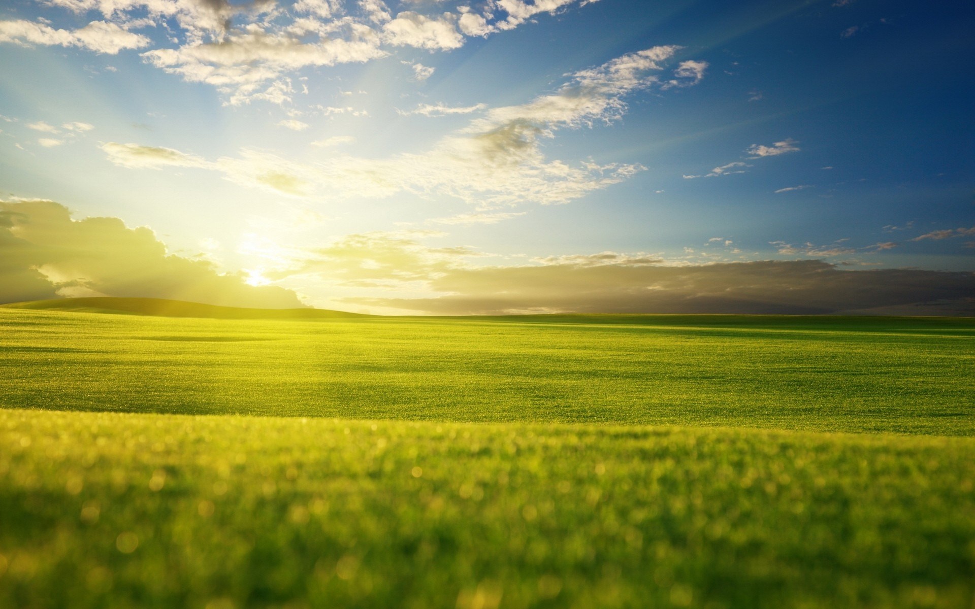 green landscape wallpaper,sky,natural landscape,field,nature,green