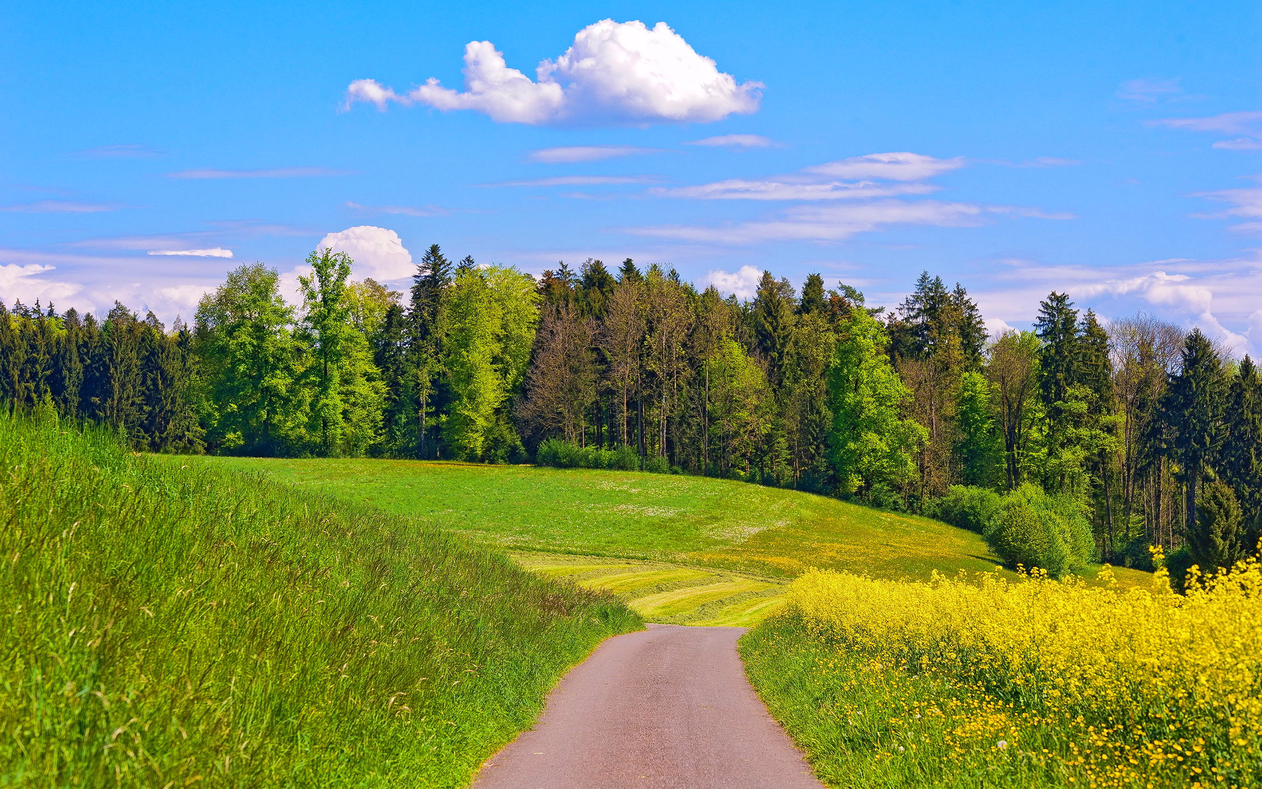 green landscape wallpaper,natural landscape,nature,grassland,meadow,natural environment